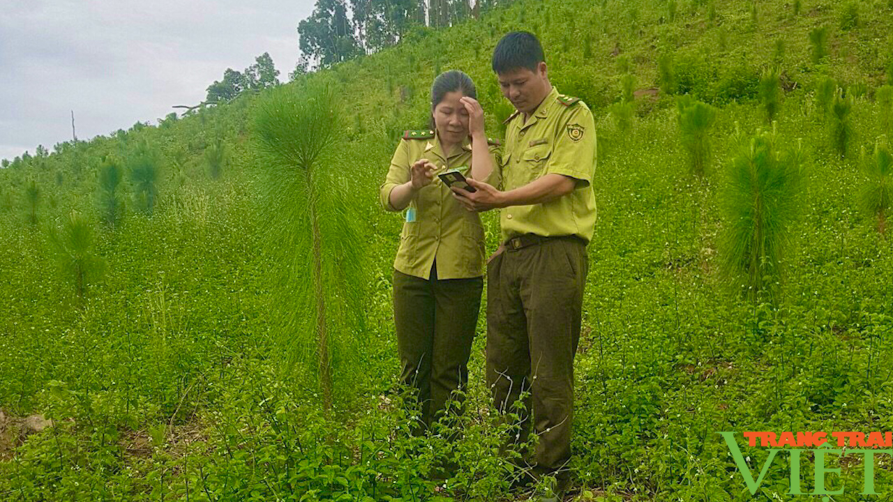 Kiểm lâm Sơn La: Làm tốt công tác bảo vệ và phát triển rừng- Ảnh 3.