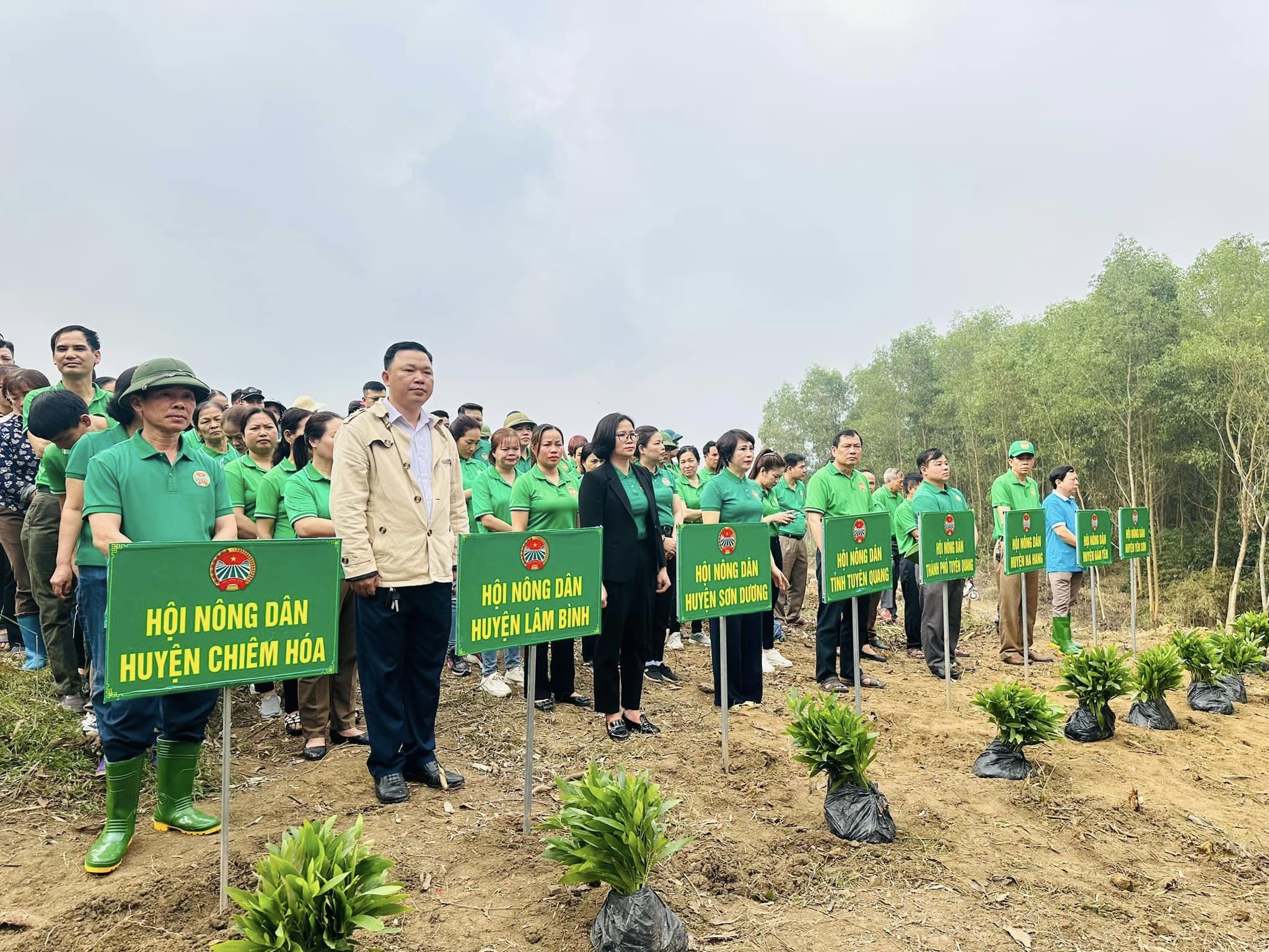 Hội Nông dân tỉnh Tuyên Quang phát động Tết trồng cây "Đời đời nhớ ơn Bác Hồ" và phát động thi đua năm 2024- Ảnh 1.