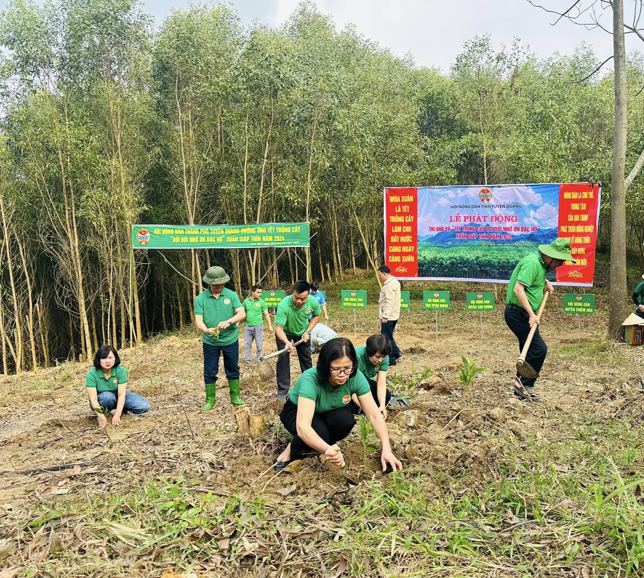 Hội Nông dân tỉnh Tuyên Quang phát động Tết trồng cây "Đời đời nhớ ơn Bác Hồ" và phát động thi đua năm 2024- Ảnh 2.