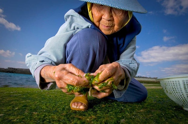 What are the 5 Blue zone lands that make people live the longest in the world? - Photo 2.