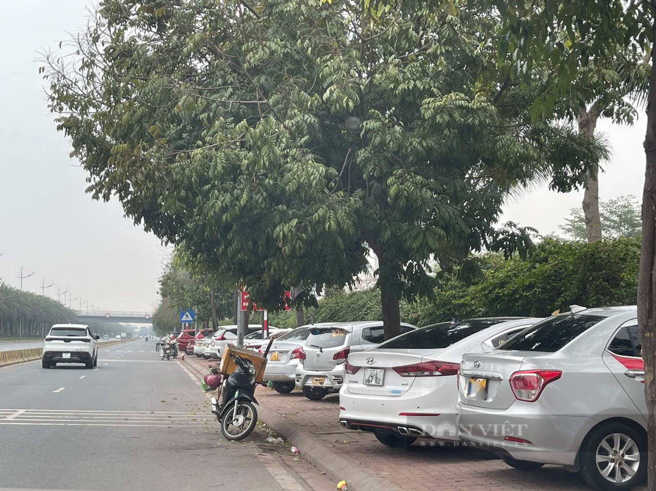 Ô tô dừng, đỗ bất chấp biển cấm ngay đường vào sân bay Nội Bài- Ảnh 1.