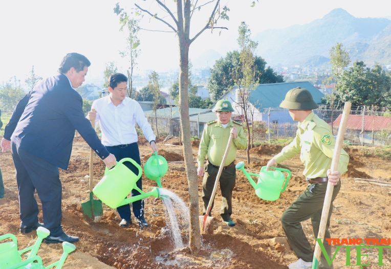 Lai Châu phát động "Tết trồng cây đời đời nhớ ơn Bác Hồ", phấn đấu trồng mới 15.000 ha rừng vào năm 2025- Ảnh 6.