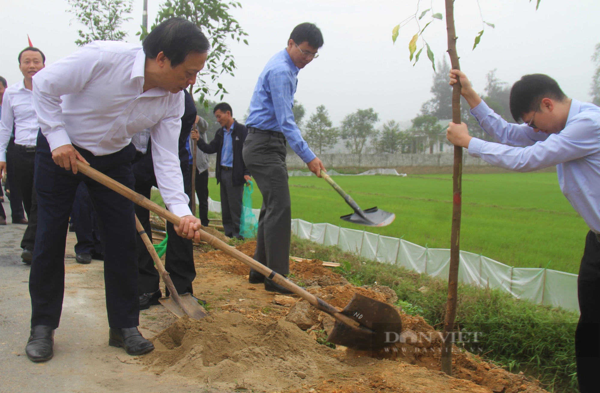 Hội Nông dân tỉnh Nghệ An phát động "Tết trồng cây đời đời nhớ ơn Bác Hồ"- Ảnh 3.