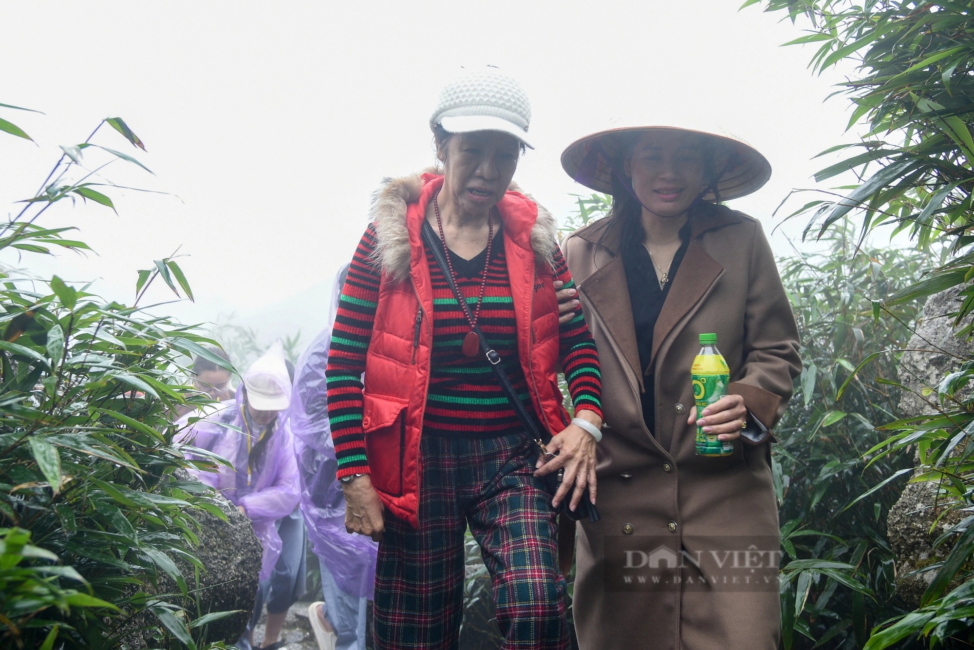Người phụ nữ 70 tuổi 3 năm liên tiếp vượt gần 2.000 km để chinh phục chùa Đồng, Yên Tử- Ảnh 5.