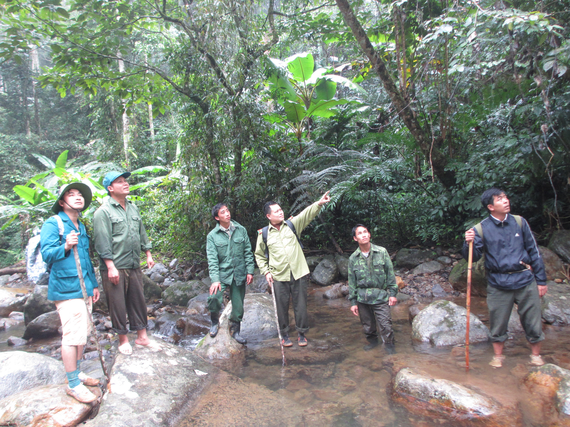 Kiểm lâm Sơn La: Làm tốt công tác bảo vệ và phát triển rừng- Ảnh 5.