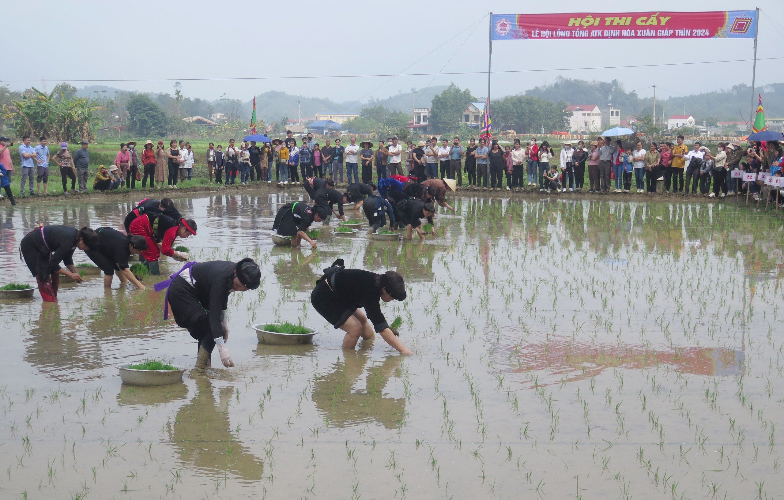 Người dân hào hứng xem chị em thi cấy lúa trong Lễ hội Lồng Tồng ATK Định Hoá- Ảnh 4.