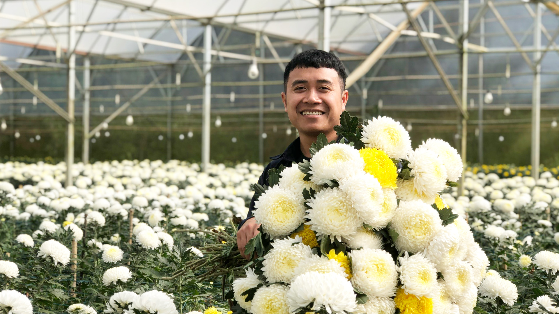 Tại sao nói, chuyển đổi số trong trồng hoa là tương lai của ngành hoa, xuất khẩu hoa tốt hơn ở Lâm Đồng?- Ảnh 1.