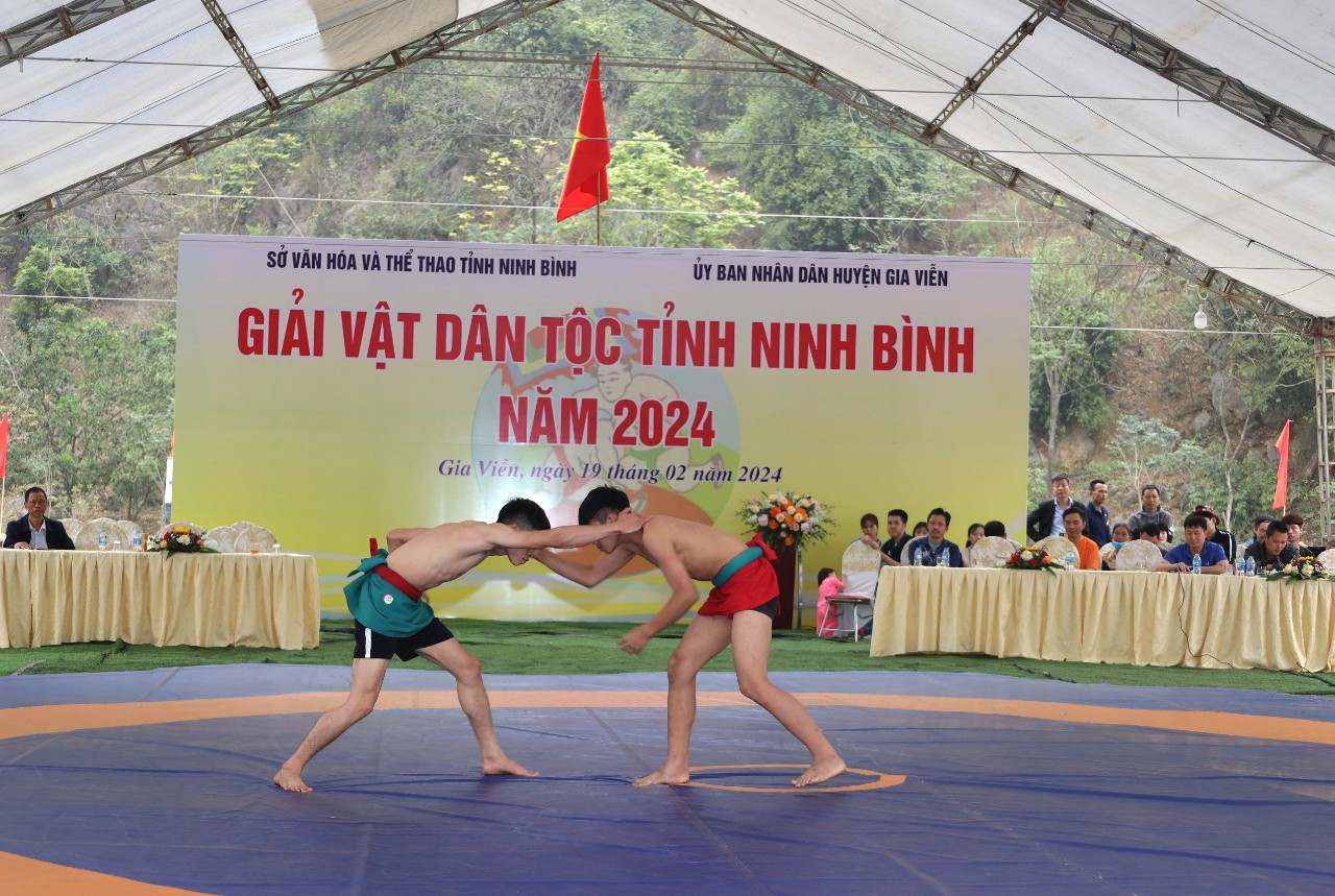 Ninh Bình: Tưng bừng lễ hội truyền thống động Hoa Lư với nhiều hoạt động thể thao thượng võ- Ảnh 4.