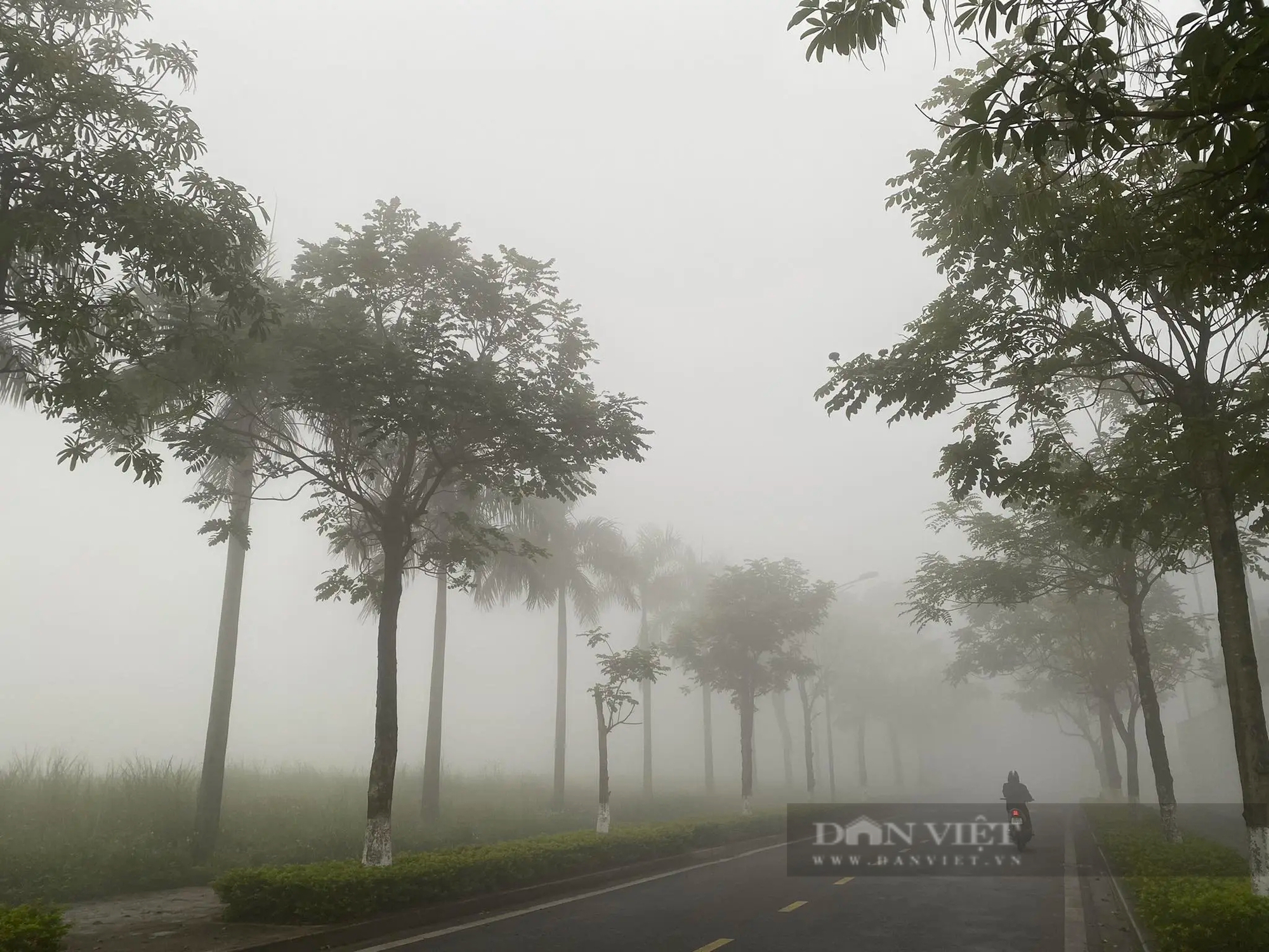 Sương mù dày đặc khó tin, tầm nhìn xa chỉ... 20 mét ở Hà Nội- Ảnh 7.