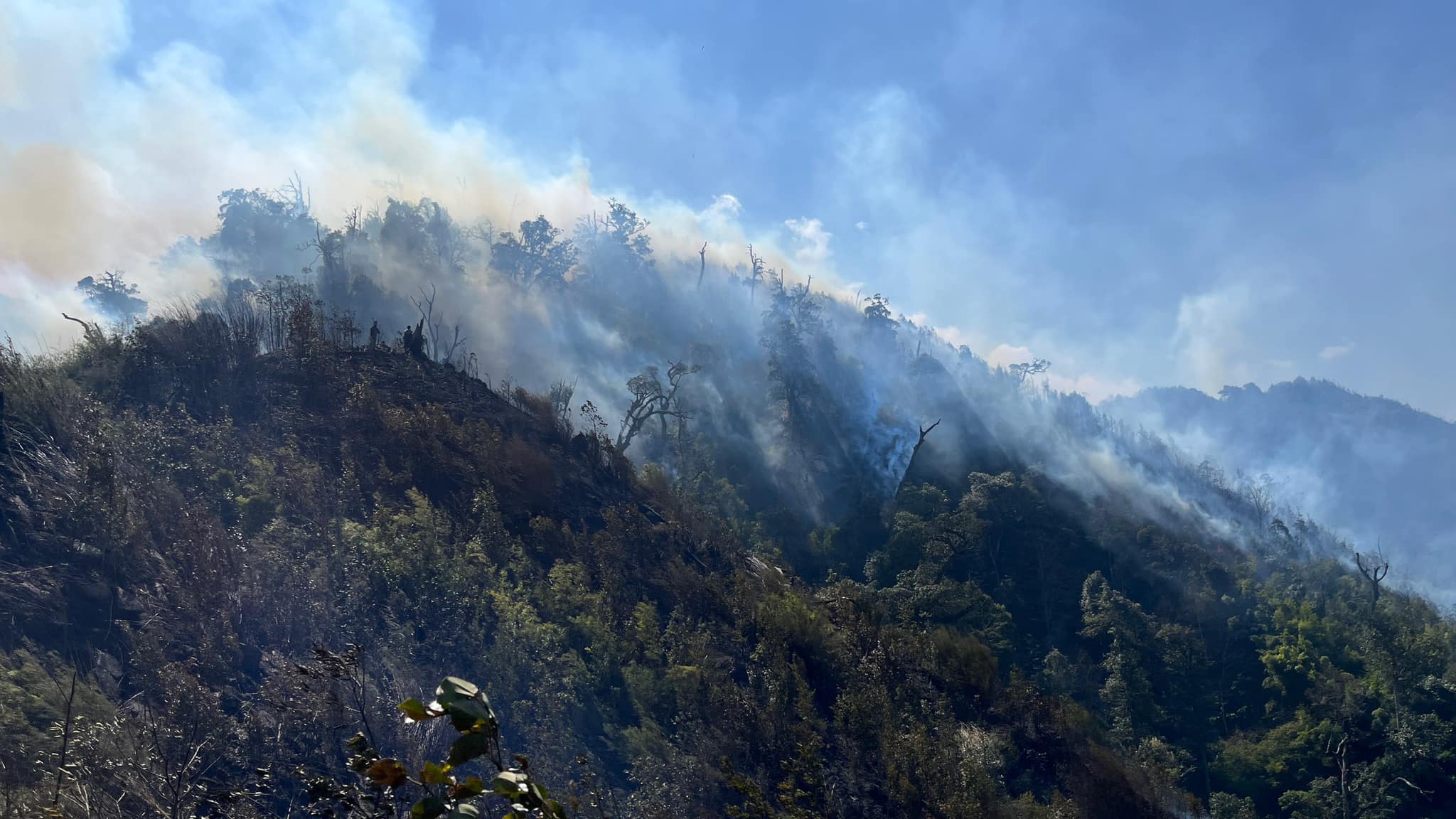 Khống chế cháy rừng bùng phát tại Vườn Quốc gia Hoàng Liên ở Lào Cai- Ảnh 4.