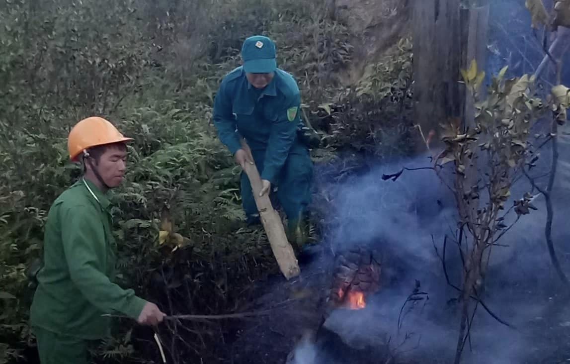 Khống chế cháy rừng bùng phát tại Vườn Quốc gia Hoàng Liên ở Lào Cai- Ảnh 3.