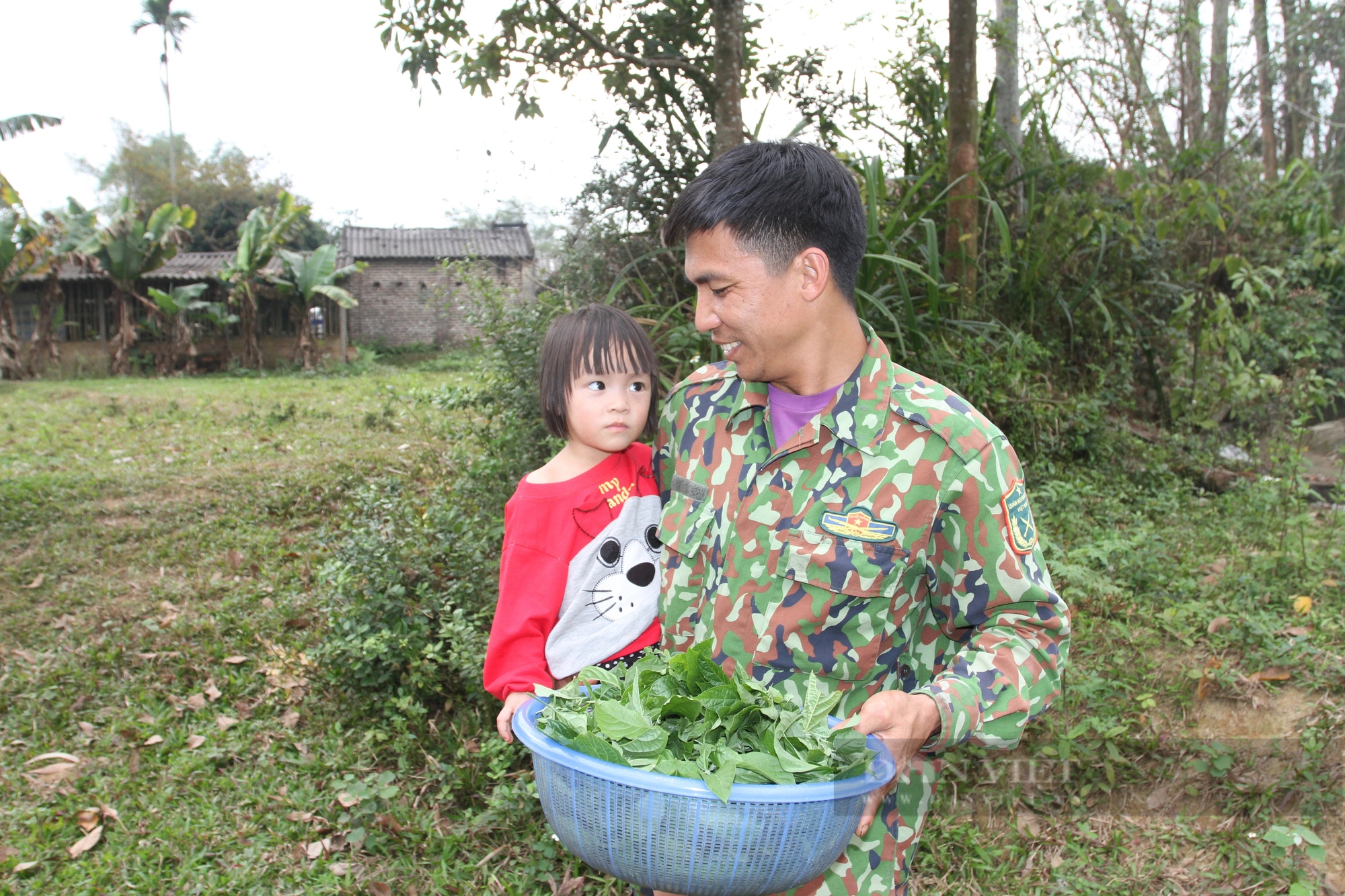 Loại rau dại nhai đắng gắt nay là đặc sản, già trẻ đi săn lùng ở Thái Nguyên, đó là rau gì?- Ảnh 5.