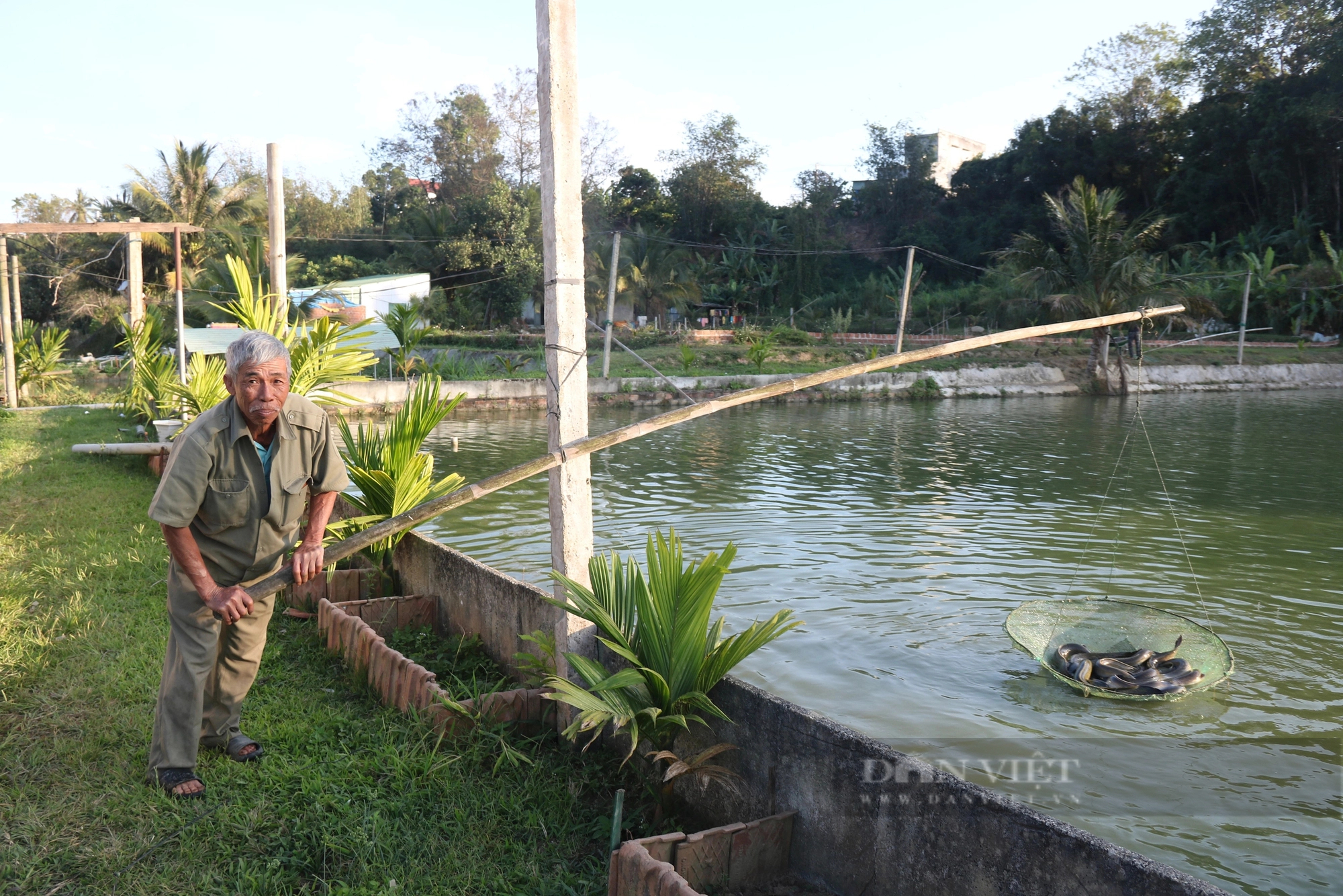 Một nông dân Kon Tum giàu lên hẳn từ khi nuôi 2 loại cá đặc sản to bự, bán 450.000-500.000 đồng/kg- Ảnh 1.