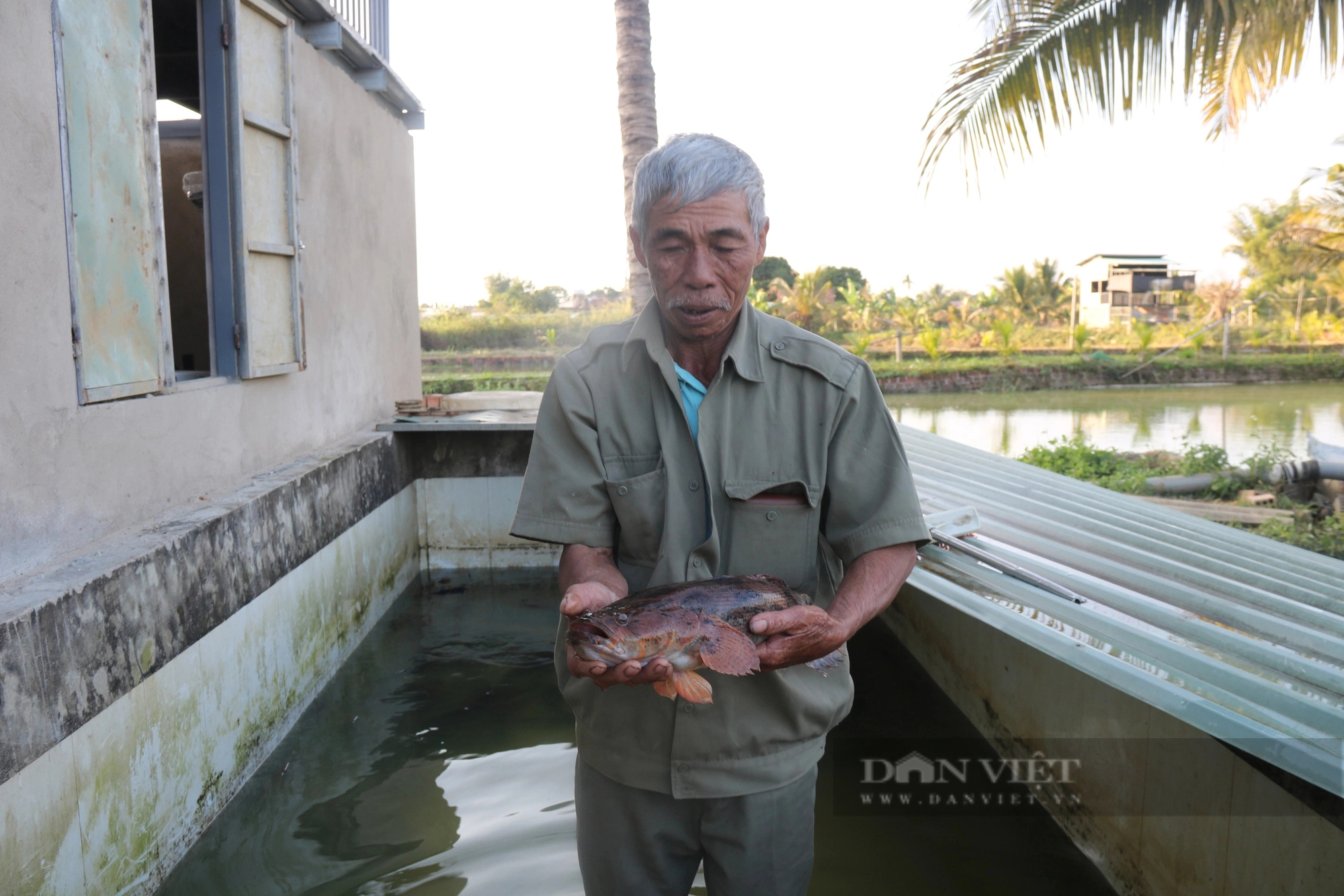 Một nông dân Kon Tum giàu lên hẳn từ khi nuôi 2 loại cá đặc sản to bự, bán 450.000-500.000 đồng/kg- Ảnh 5.