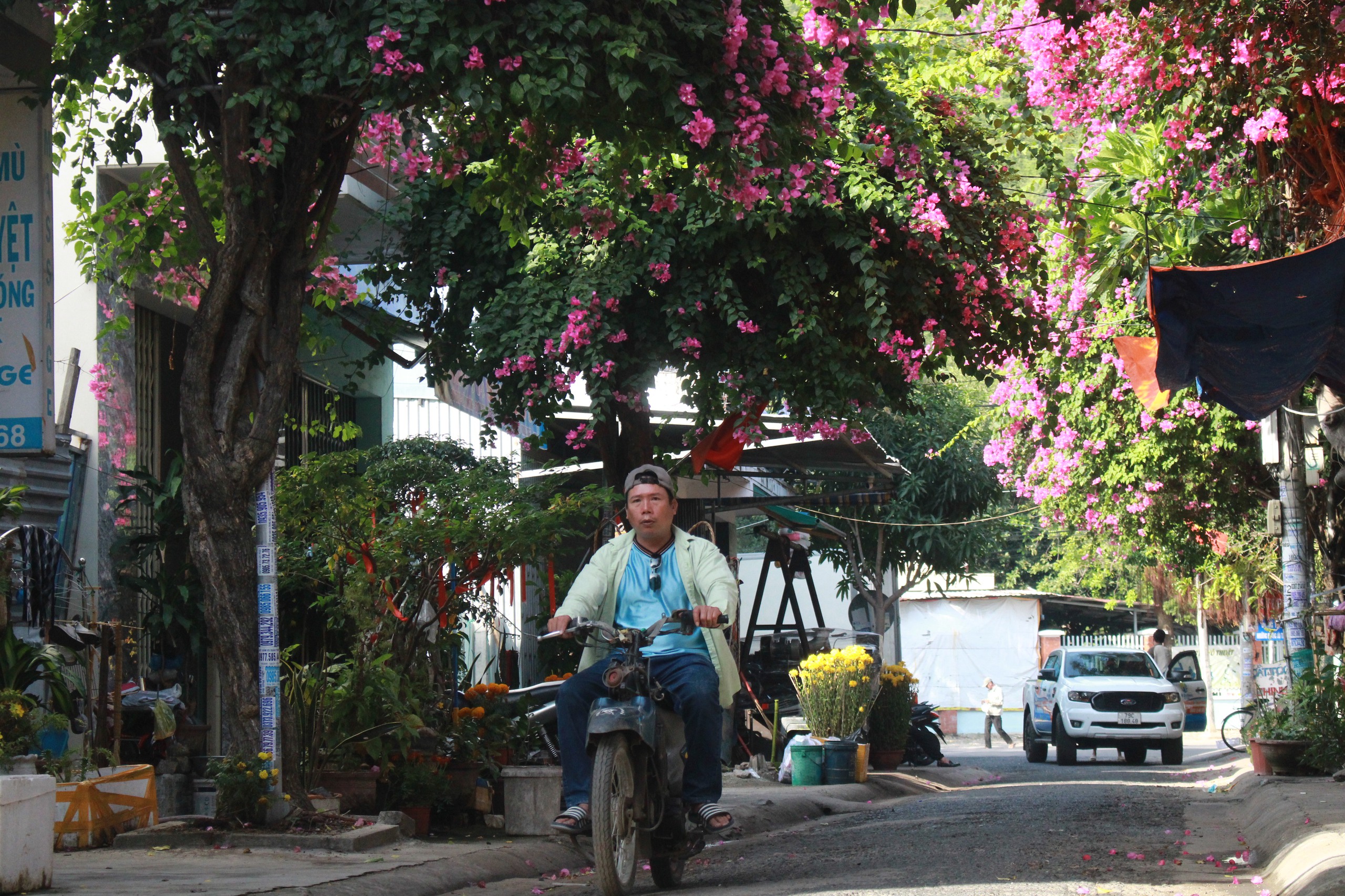 Làng biển ở Khánh Hòa đẹp như phim, con đường hoa giấy nở bông rực rỡ, ngắm thôi đã mê rồi- Ảnh 1.