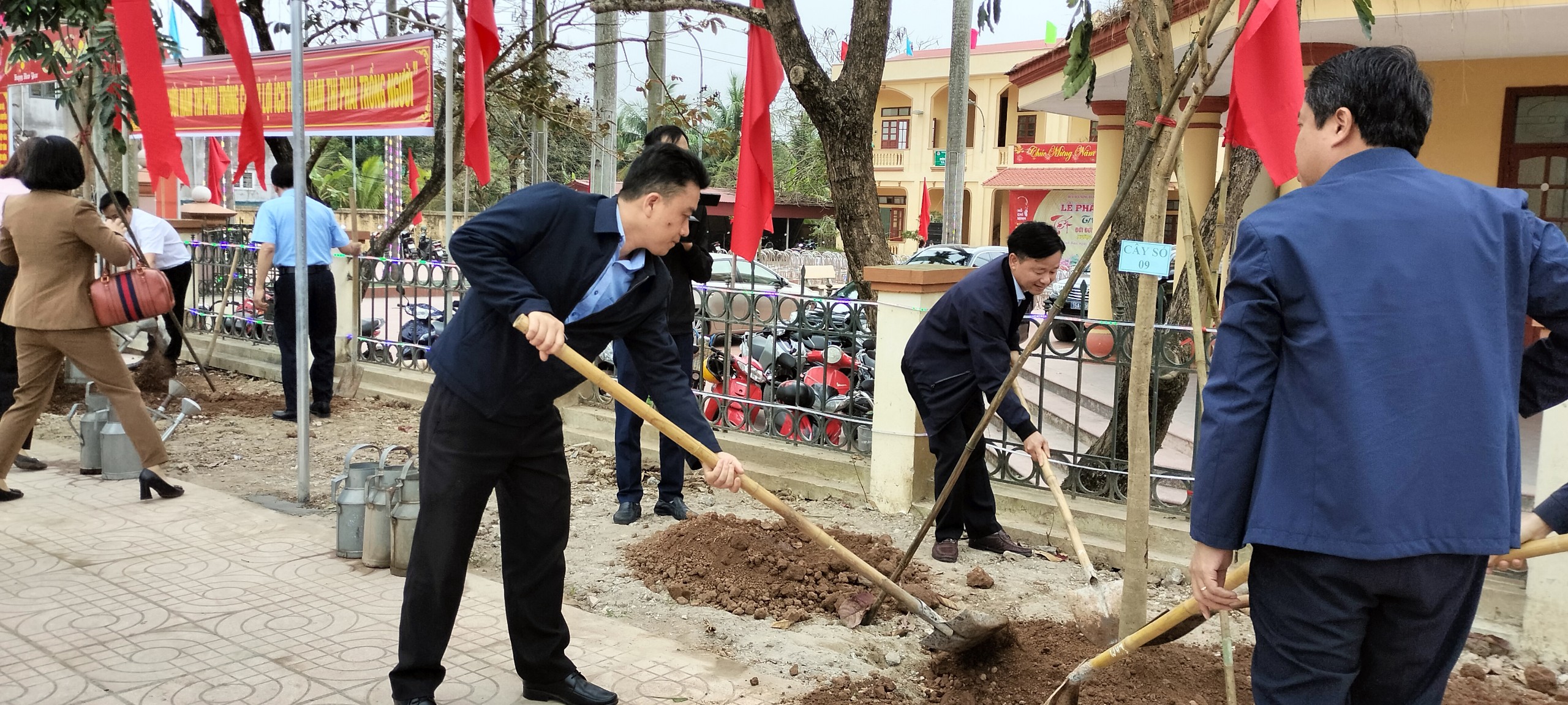 Hội Nông dân Hải Phòng tổ chức trồng 100 cây xà cừ hưởng ứng Tết trồng cây năm 2024- Ảnh 1.