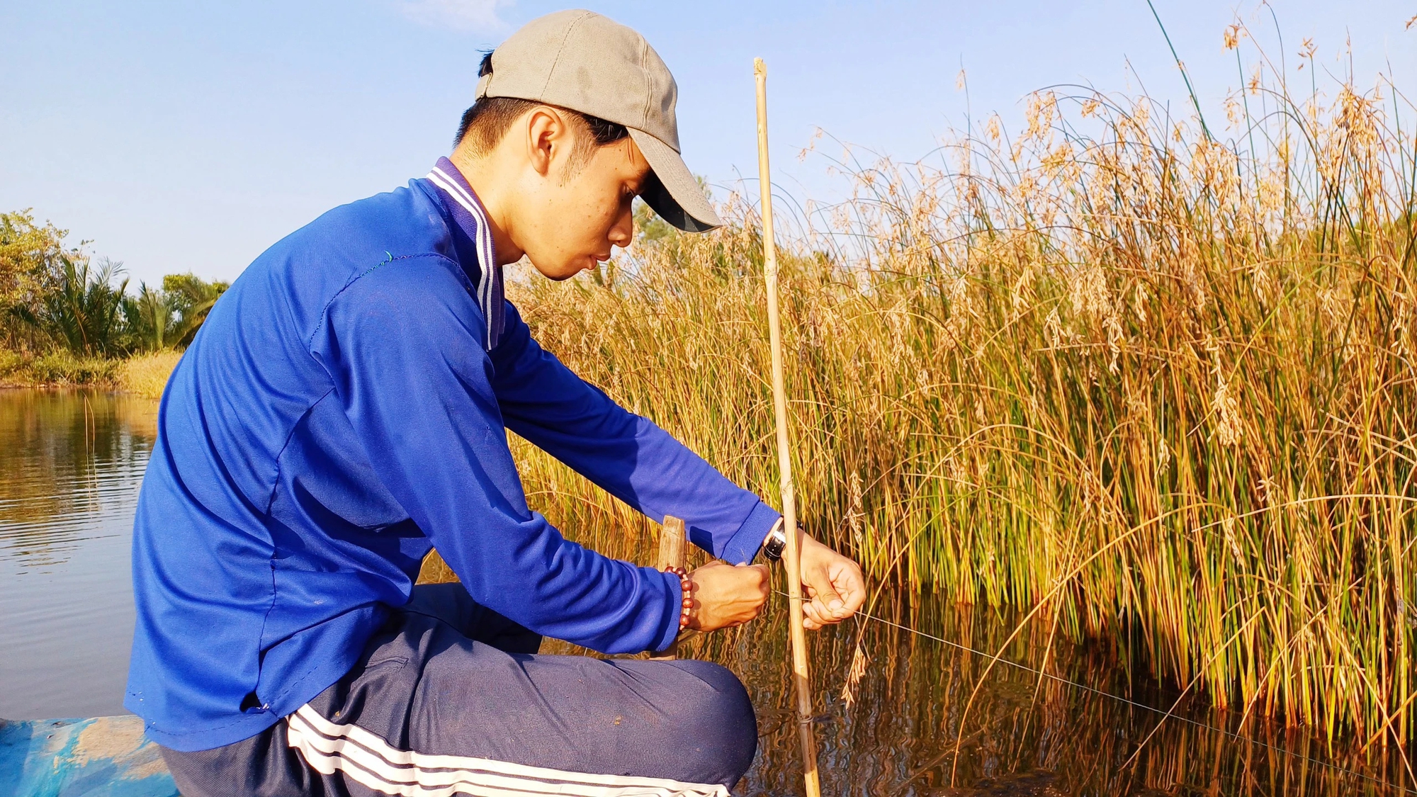 Sau Tết nông dân Cà Mau chỉ cần bơi xuồng thả câu bắt cá lóc đồng cũng thu về nửa triệu/ngày- Ảnh 1.