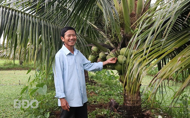 Trên bờ trồng cây đặc sản trái ra quá trời, dưới ao nuôi một con đặc sản, ông nông dân Bình Định khá giả