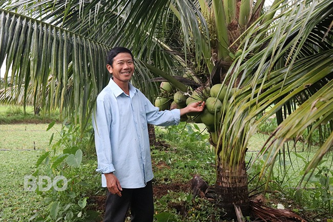 Trên bờ trồng cây đặc sản trái ra quá trời, dưới ao nuôi một con đặc sản, ông nông dân Bình Định khá giả- Ảnh 1.