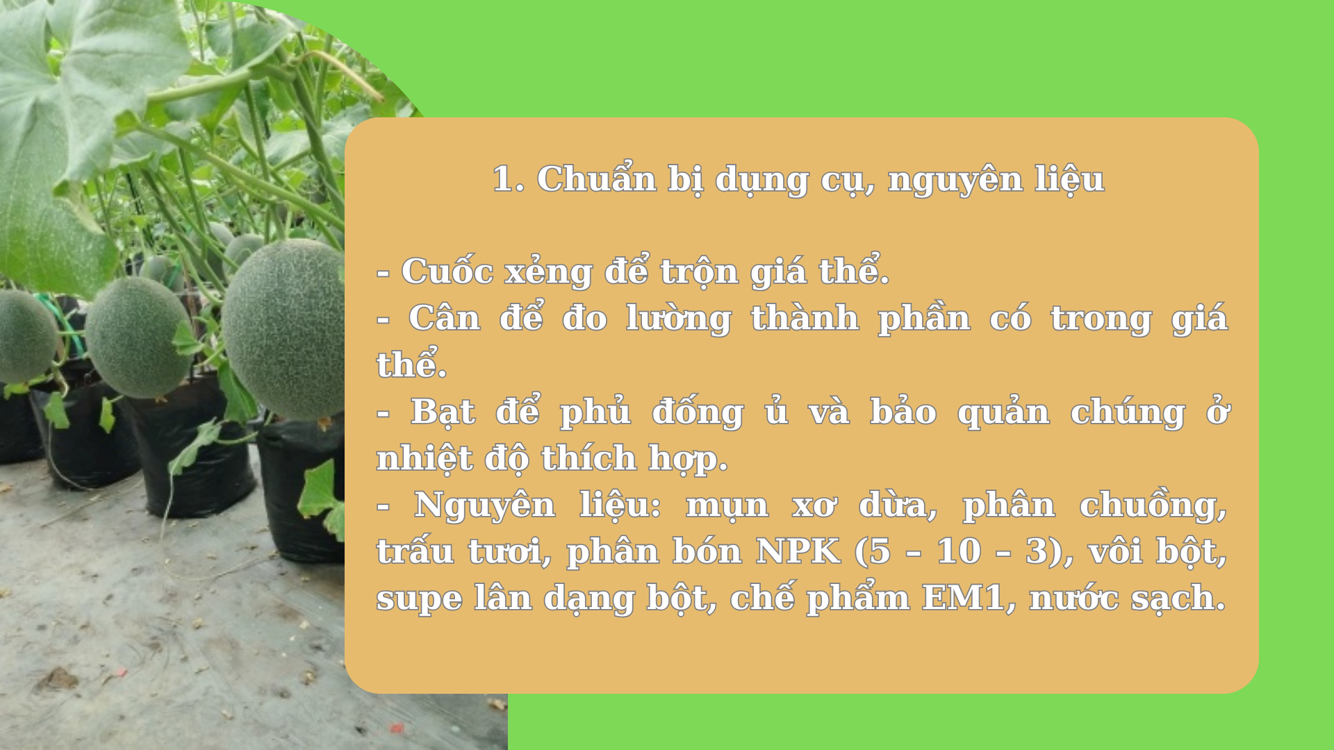 SỔ TAY NHÀ NÔNG: Cách làm giá thể trồng dưa lưới từ mụn xơ dừa- Ảnh 1.