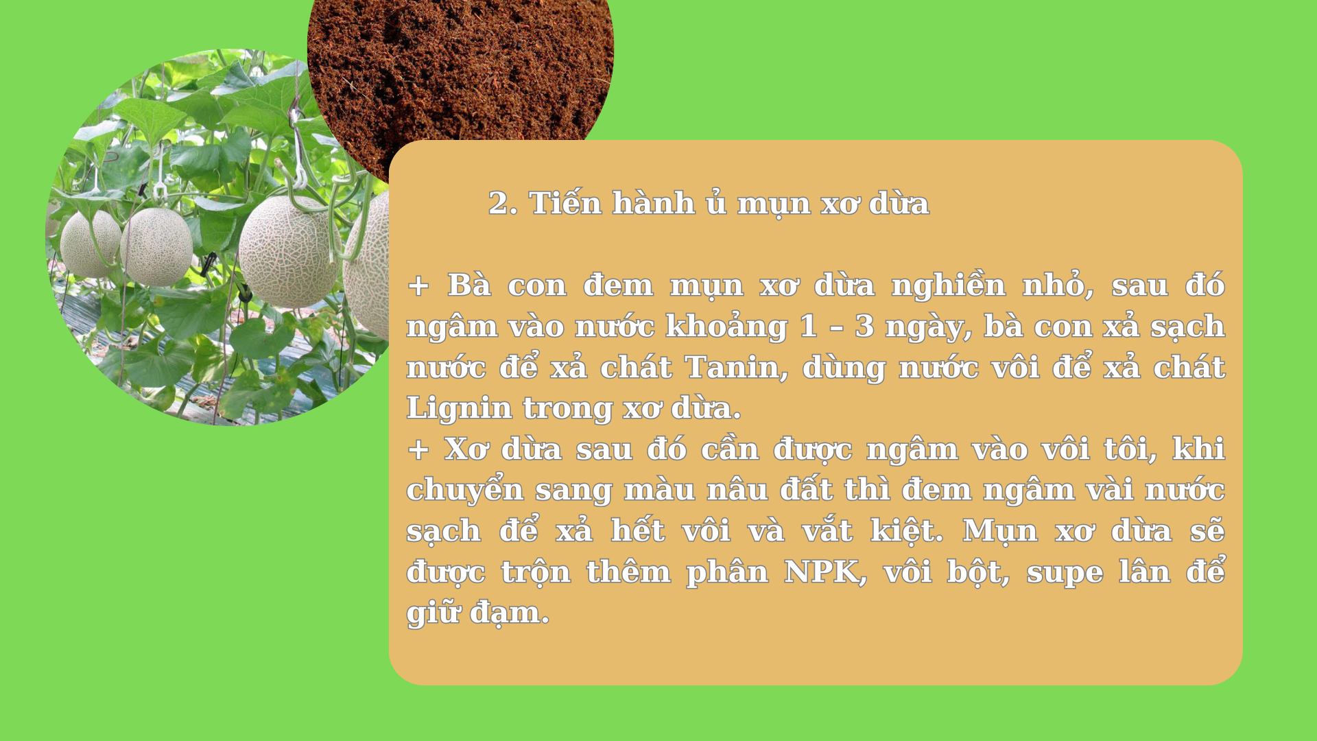 SỔ TAY NHÀ NÔNG: Cách làm giá thể trồng dưa lưới từ mụn xơ dừa- Ảnh 2.