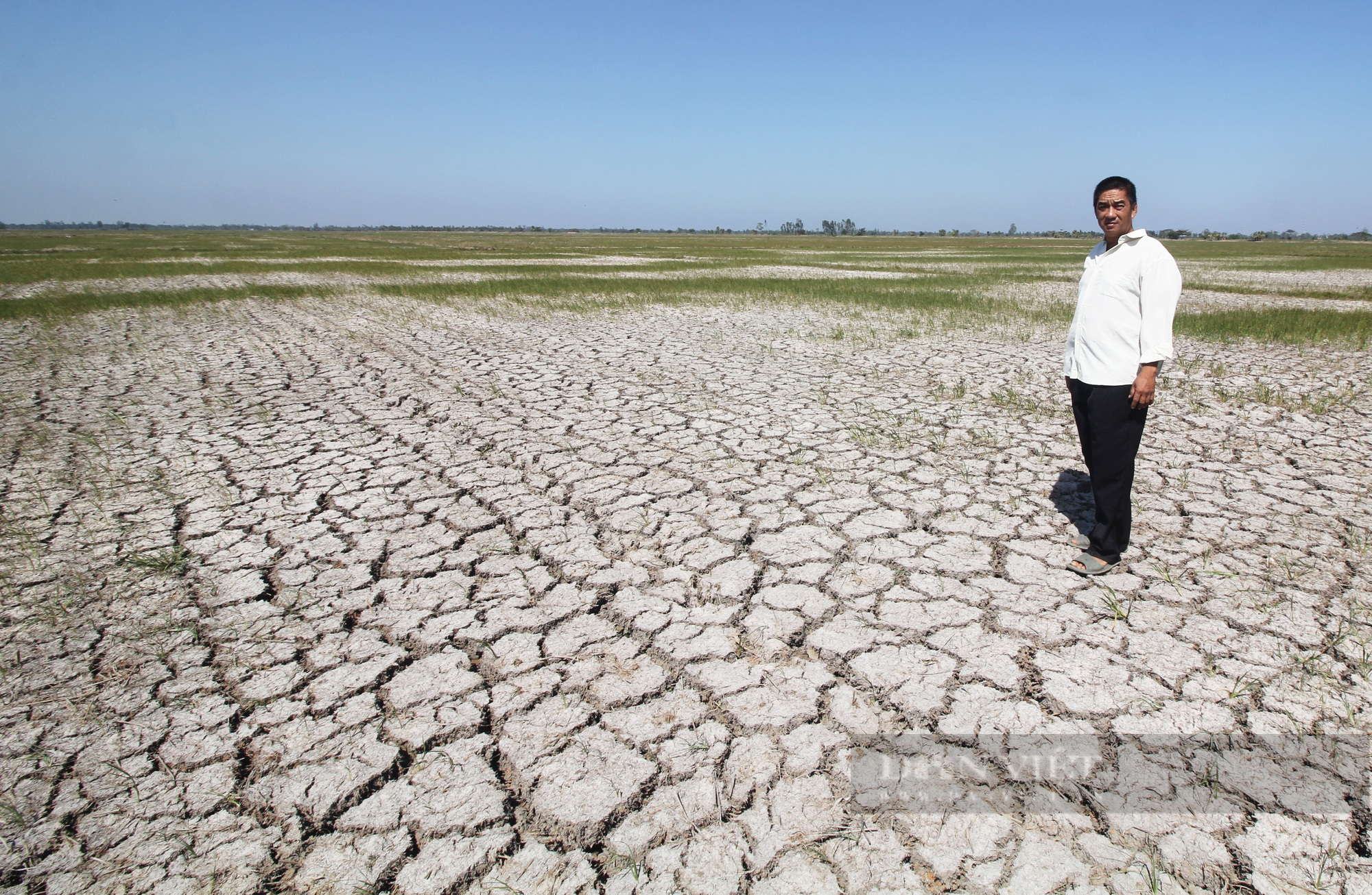 Nước sông Mekong đổ về ĐBSCL thiếu hụt 10-15% gây hạn mặn sớm, Cục Thủy lợi dự báo gì? - Ảnh 2.