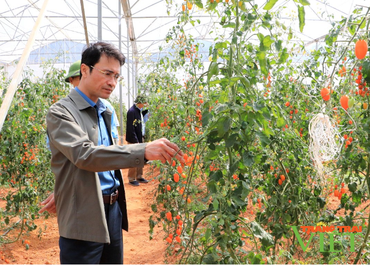 Tân Uyên cần tập trung phát triển nông nghiệp công nghệ cao- Ảnh 2.