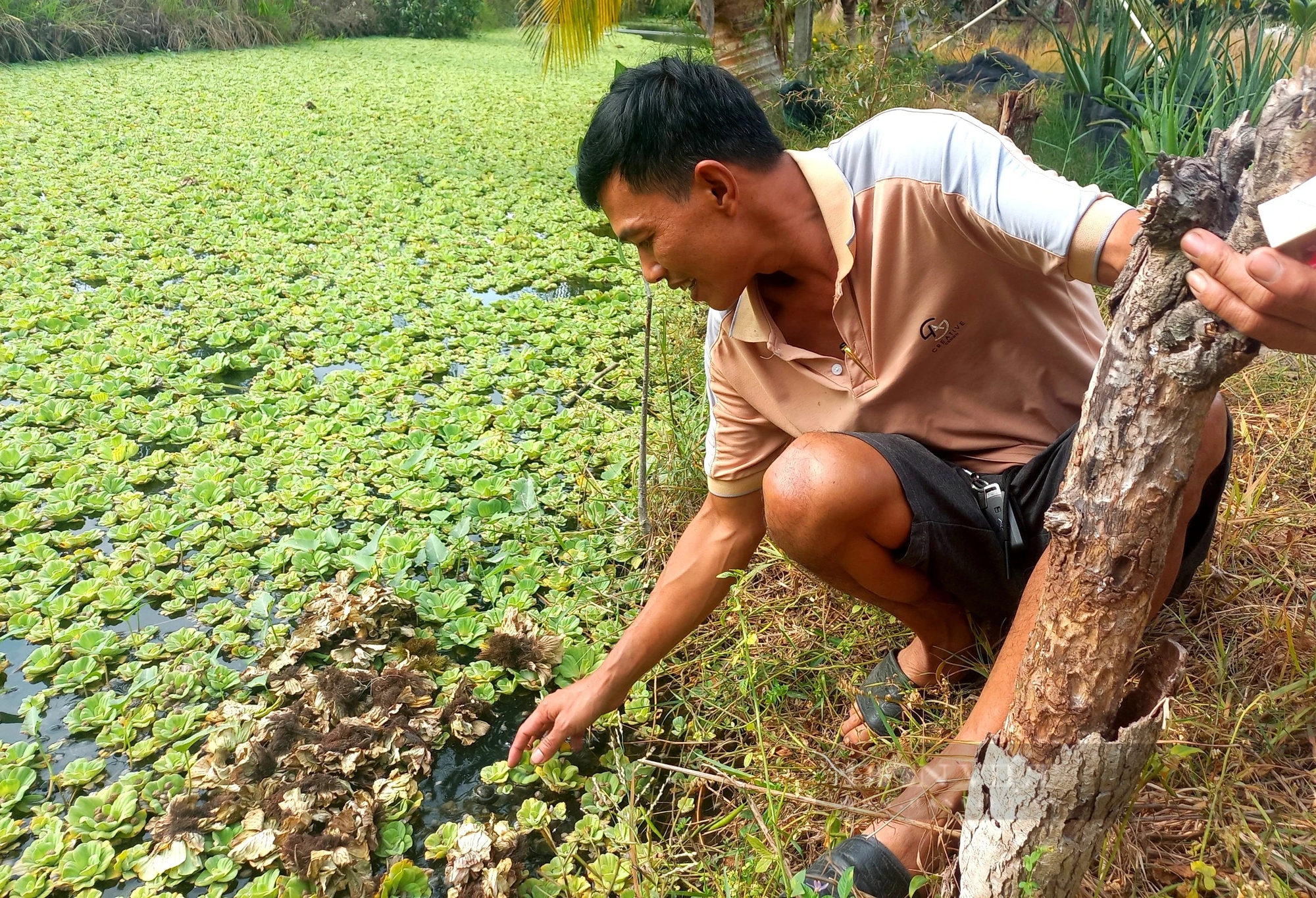 Lấy "đất vàng" nuôi con đặc sản kiểu chơi chơi, ai ngờ anh nông dân TP HCM tự trả lương cao- Ảnh 5.