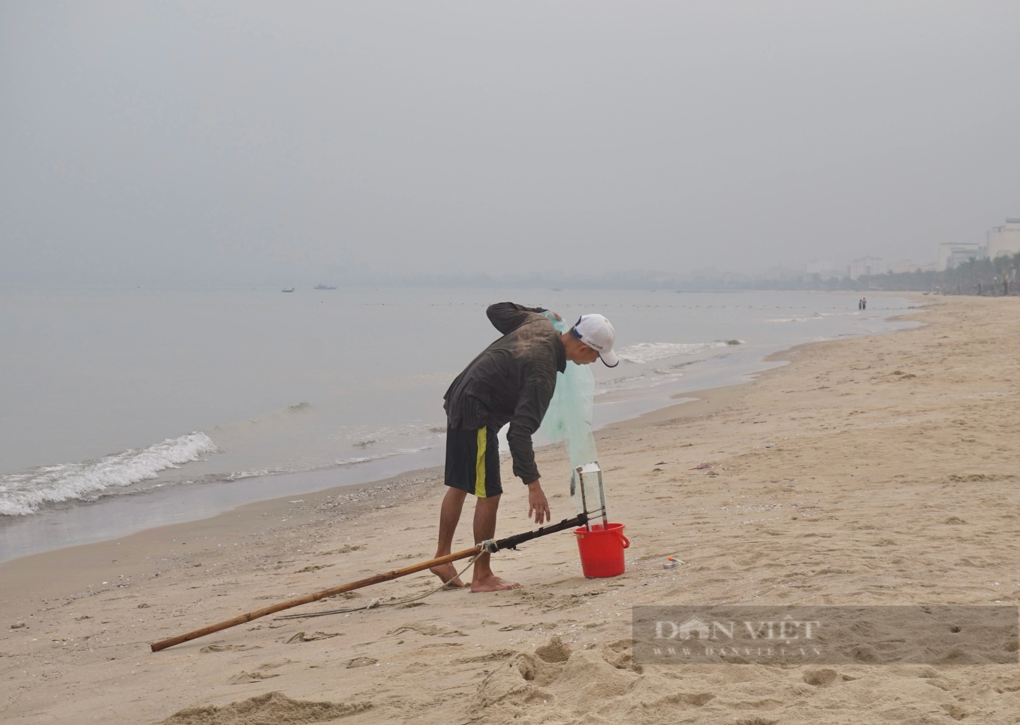 Ở biển Đà Nẵng dân đi thụt lùi để bắt con đặc sản bé tí này, mỗi ngày cũng bỏ túi tiền triệu- Ảnh 3.