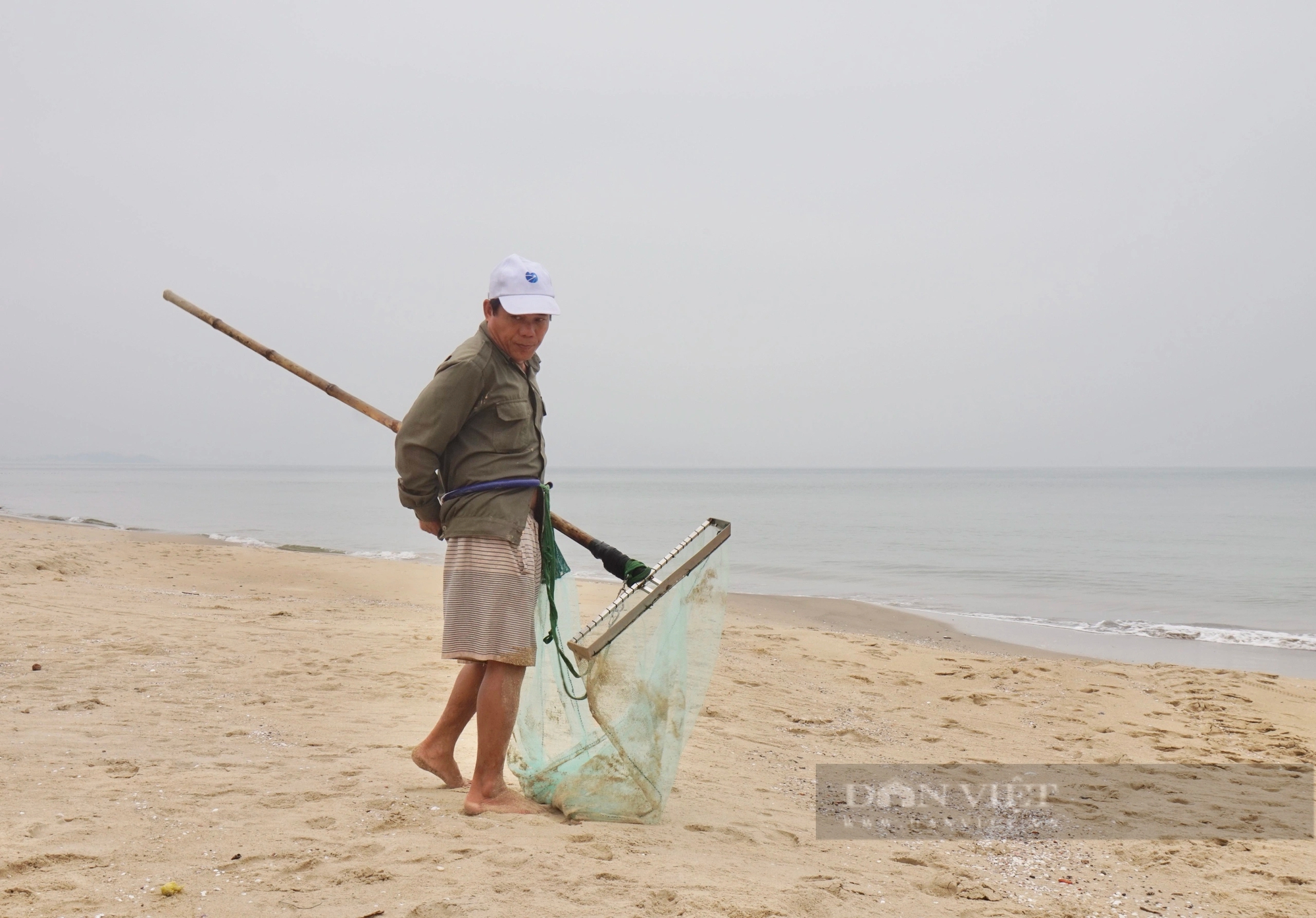 Ở biển Đà Nẵng dân đi thụt lùi để bắt con đặc sản bé tí này, mỗi ngày cũng bỏ túi tiền triệu- Ảnh 4.