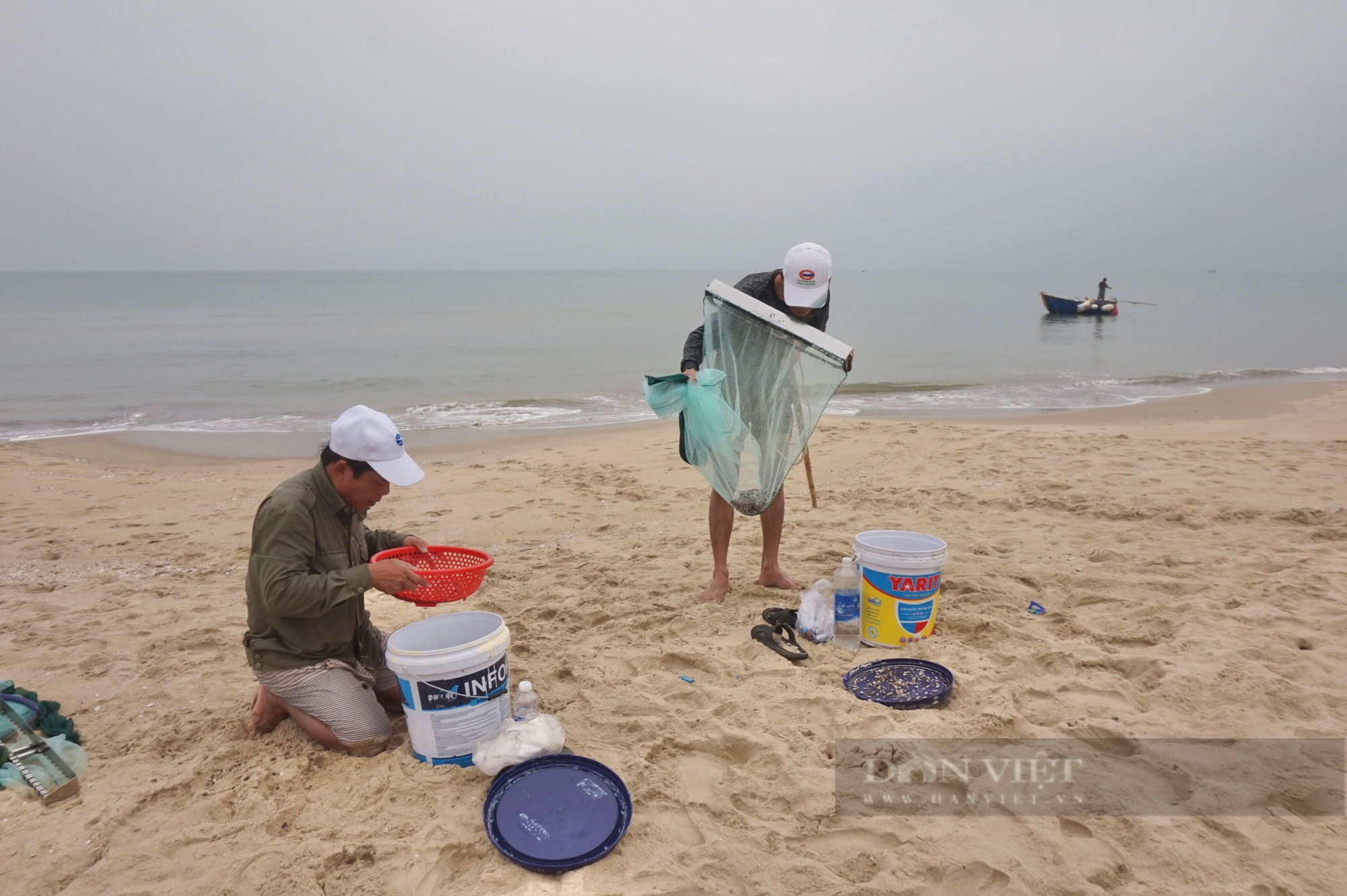 Ở biển Đà Nẵng dân đi thụt lùi để bắt con đặc sản bé tí này, mỗi ngày cũng bỏ túi tiền triệu- Ảnh 5.