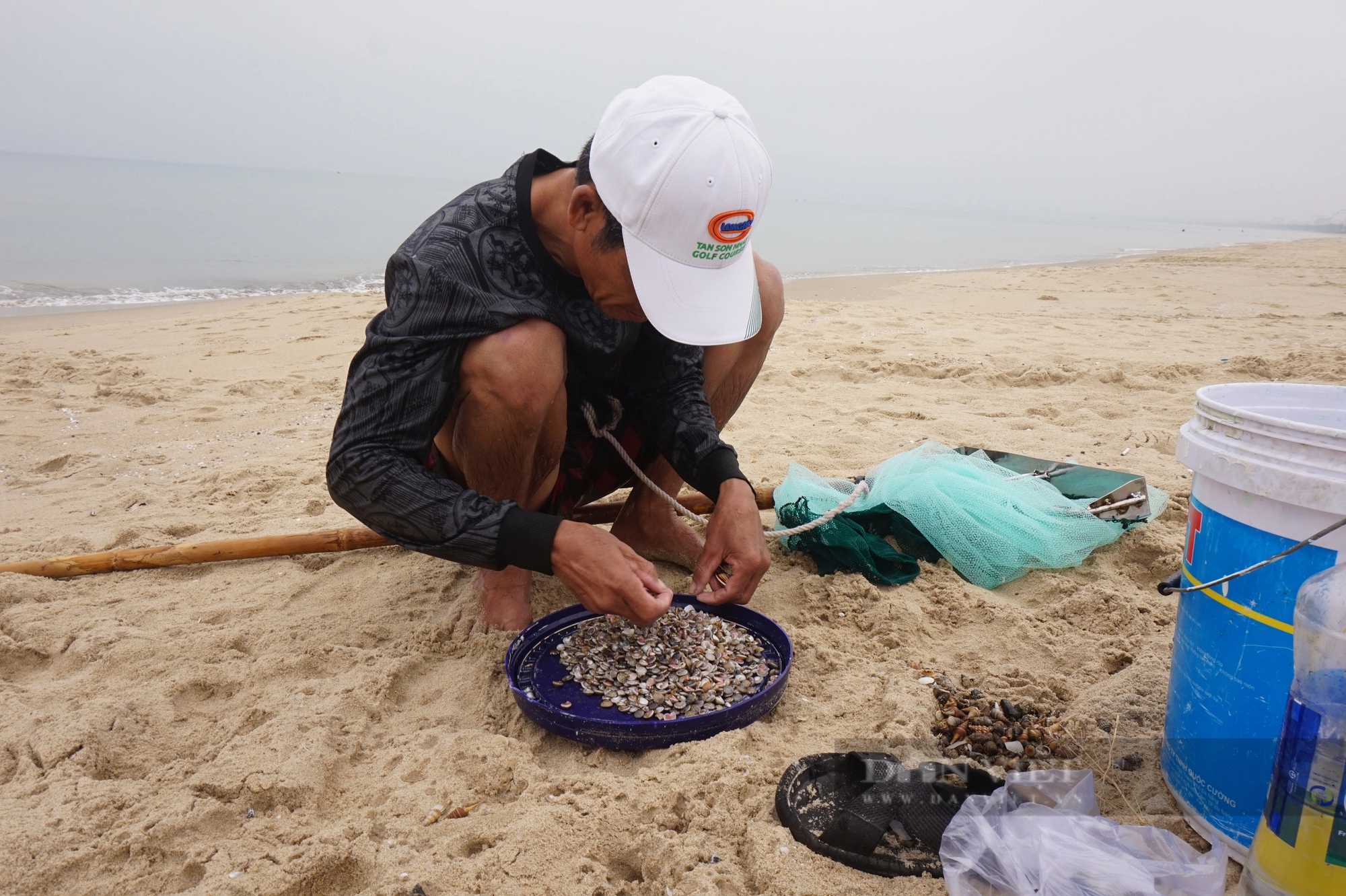 Ở biển Đà Nẵng dân đi thụt lùi để bắt con đặc sản bé tí này, mỗi ngày cũng bỏ túi tiền triệu- Ảnh 6.