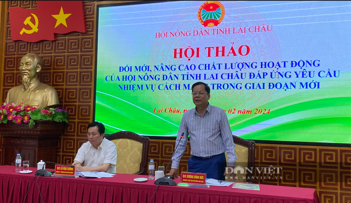 Hội Nông dân Lai Châu bàn giải pháp nâng cao chất lượng hoạt động Hội và phong trào nông dân- Ảnh 2.