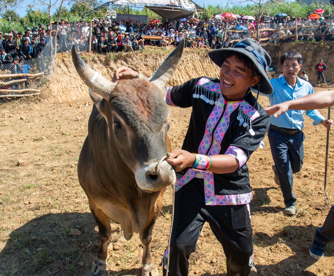 Ở một huyện của Đắk Lắk, người Mông dắt con vật gì ra "sới đấu" mà làng kéo đến xem đông nghịt?- Ảnh 8.