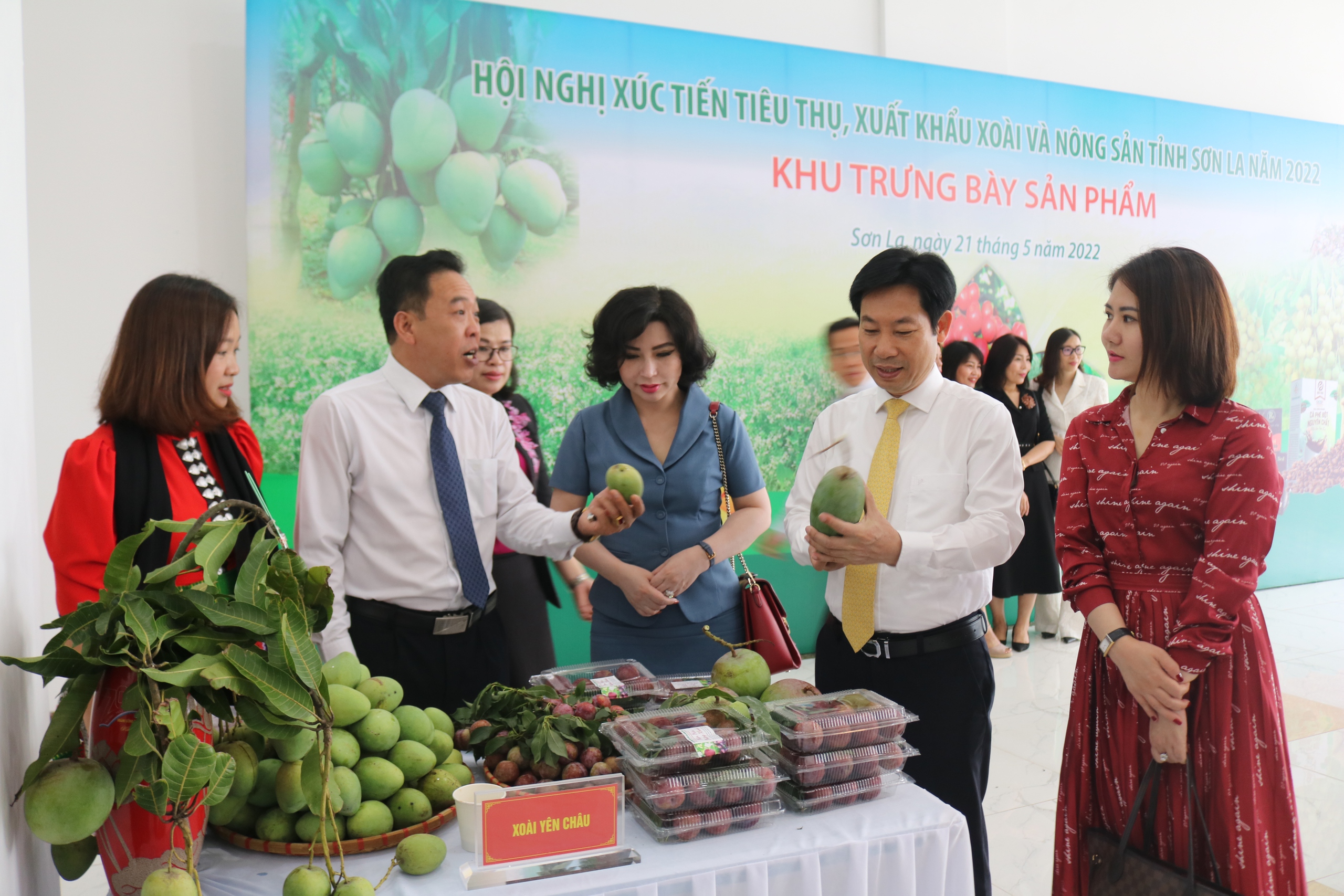 Phó Trưởng Ban Kinh tế Trung ương: Hội Nông dân Việt Nam đứng trước thời cơ rất lớn trong phát triển kinh tế tập thể- Ảnh 2.
