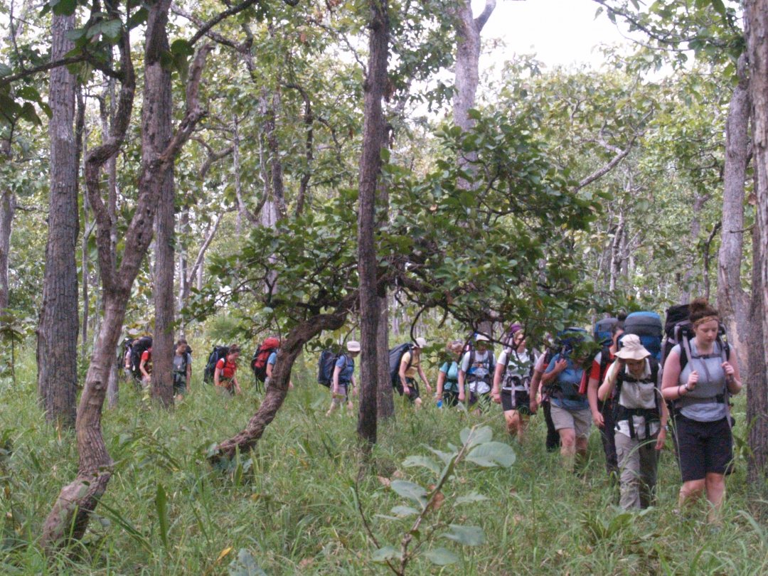 Một khu rừng nổi tiếng ở Đắk Lắk thấy một đoàn người nước ngoài đeo balo đi vào, trong đó có gì để xem?- Ảnh 2.