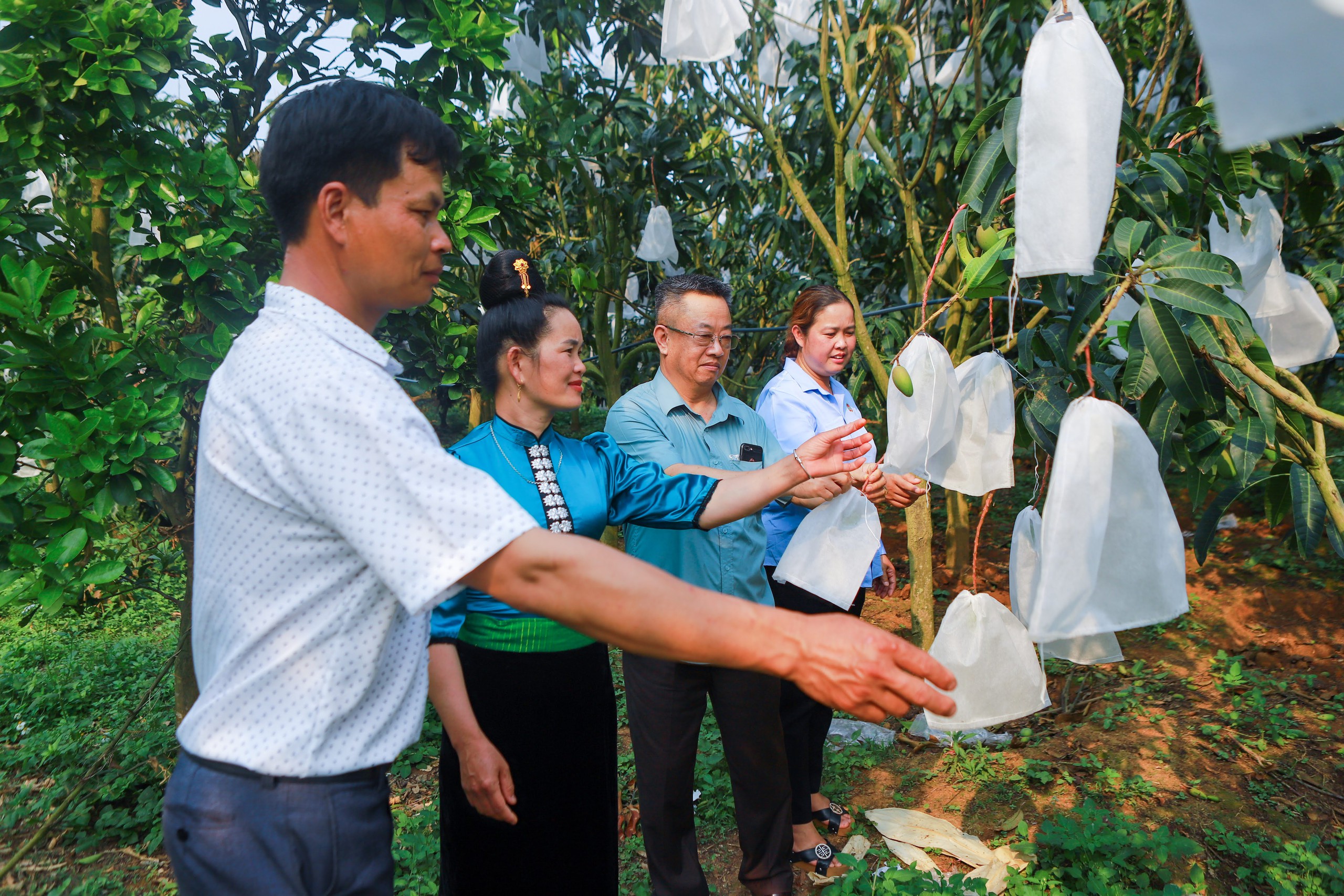 Phó Trưởng Ban Kinh tế Trung ương: Hội Nông dân Việt Nam đứng trước thời cơ rất lớn trong phát triển kinh tế tập thể- Ảnh 3.