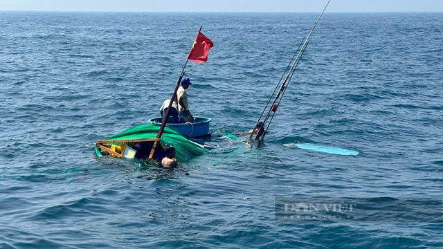 Tàu chở hàng tông tàu đánh cá ở Quảng Ngãi làm 9 ngư dân rơi xuống biển, 2 người mất tích- Ảnh 1.