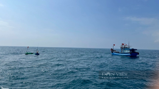 Tàu chở hàng tông tàu đánh cá ở Quảng Ngãi làm 9 ngư dân rơi xuống biển, 2 người mất tích- Ảnh 2.