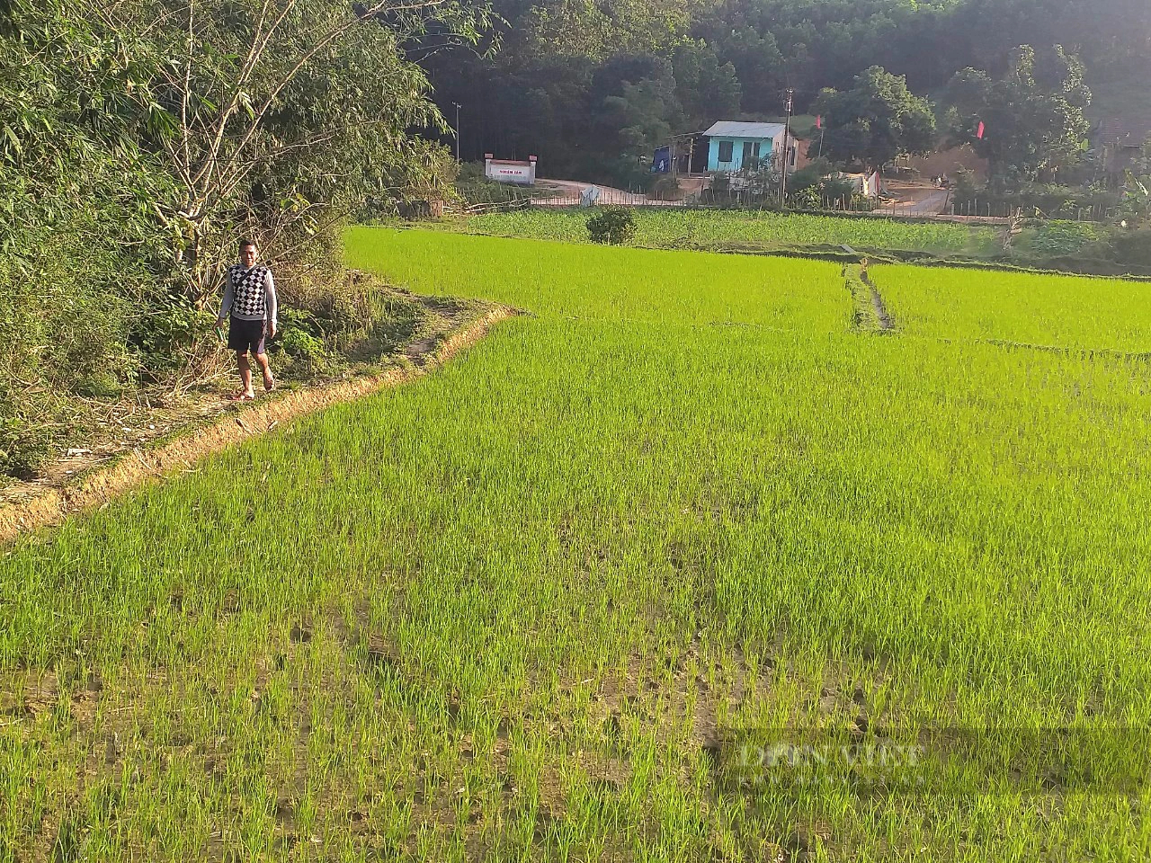 Hai hộ dân mới nhất viết đơn xin ra khỏi danh sách hộ nghèo ở một nơi xa xôi của Quảng Bình - Ảnh 1.