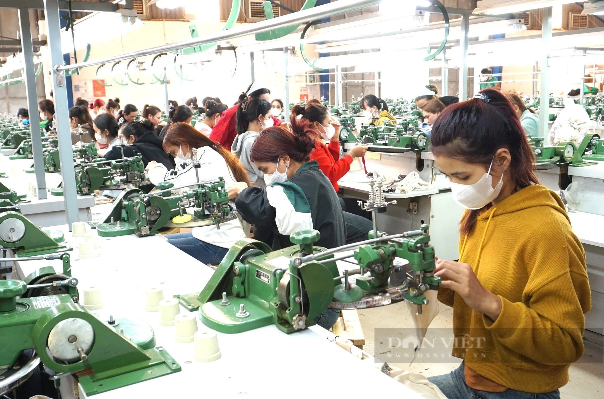 Doanh nghiệp Đắk Lắk khẩn trương bắt tay sản xuất, kinh doanh, "kín" đơn hàng từ đầu năm- Ảnh 1.