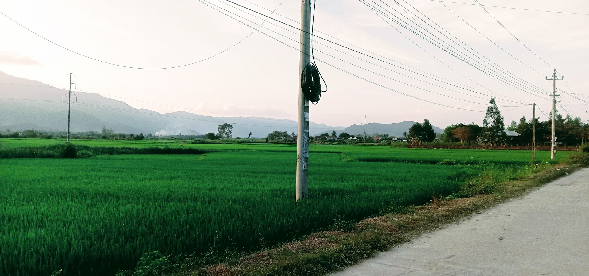 Kể chuyện làng: Thoảng mùi bùn nướng cá- Ảnh 1.