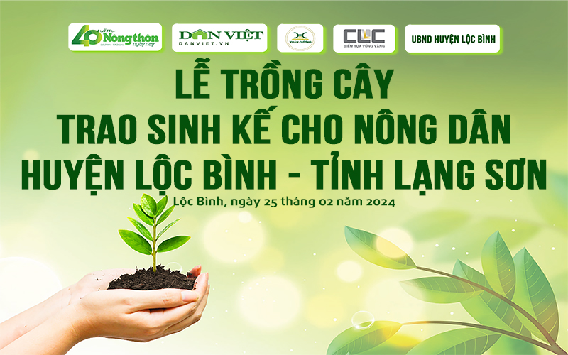 Người dân tỉnh Lạng Sơn háo hức mong chờ ngày được nhận cây giống mắc ca- Ảnh 1.