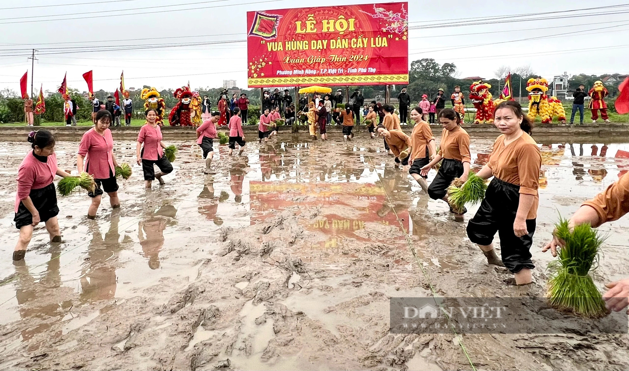 "Vua Hùng đi cấy" ở thành phố ngã ba sông Việt Trì- Ảnh 9.