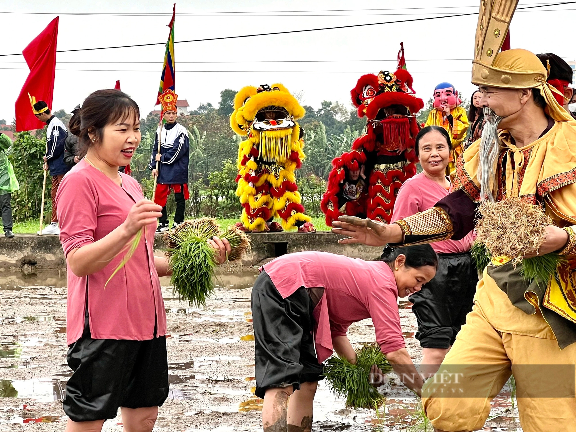 "Vua Hùng đi cấy" ở thành phố ngã ba sông Việt Trì- Ảnh 12.