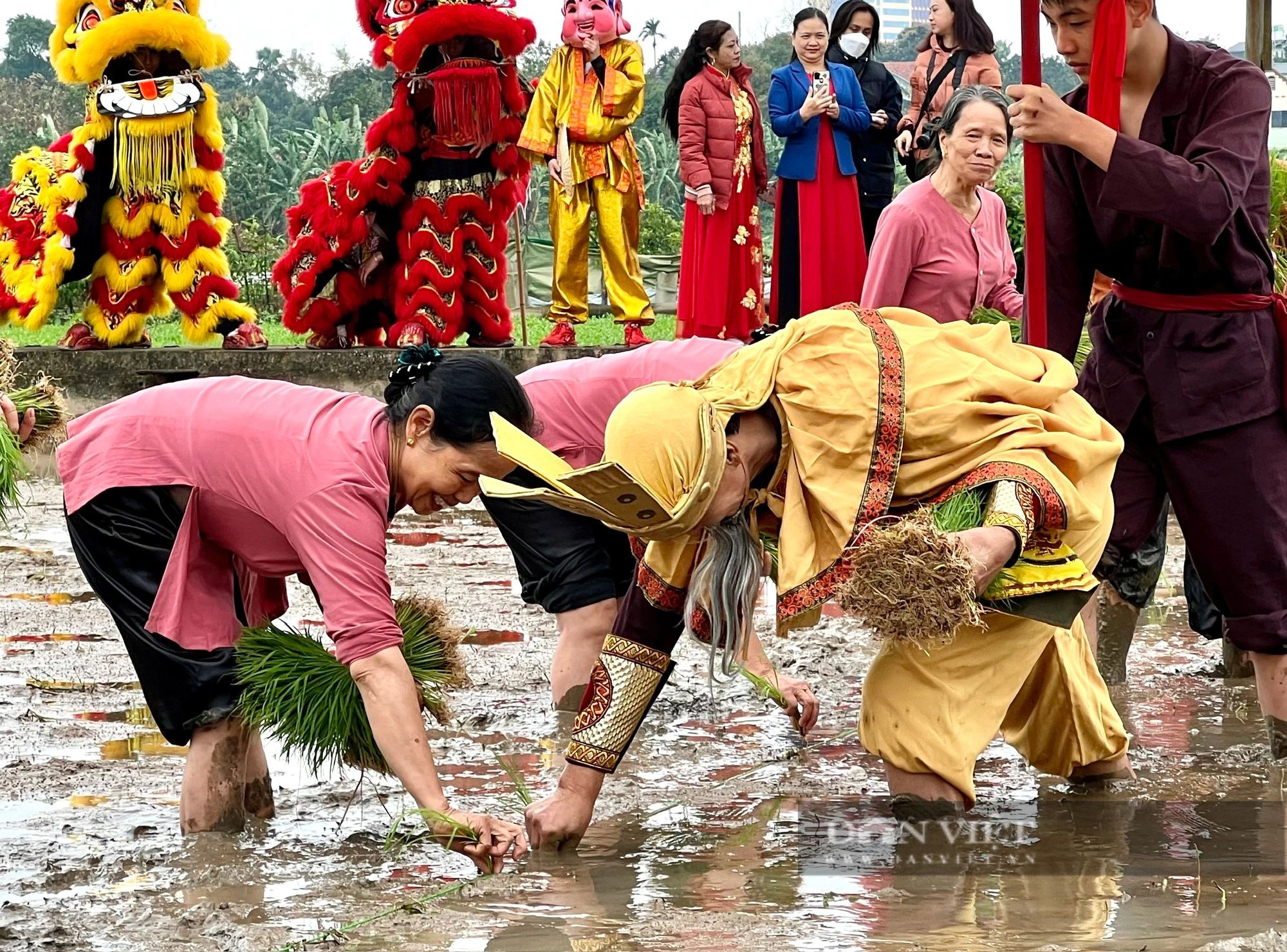 "Vua Hùng đi cấy" ở thành phố ngã ba sông Việt Trì- Ảnh 13.