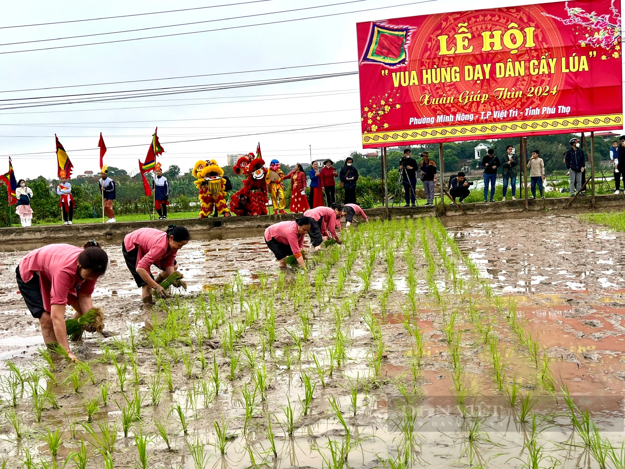 "Vua Hùng đi cấy" ở thành phố ngã ba sông Việt Trì- Ảnh 16.