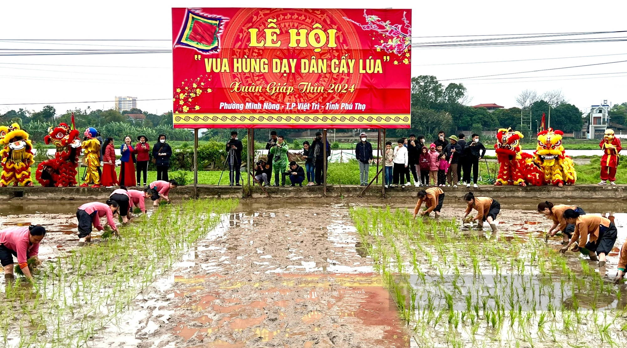 "Vua Hùng đi cấy" ở thành phố ngã ba sông Việt Trì- Ảnh 17.