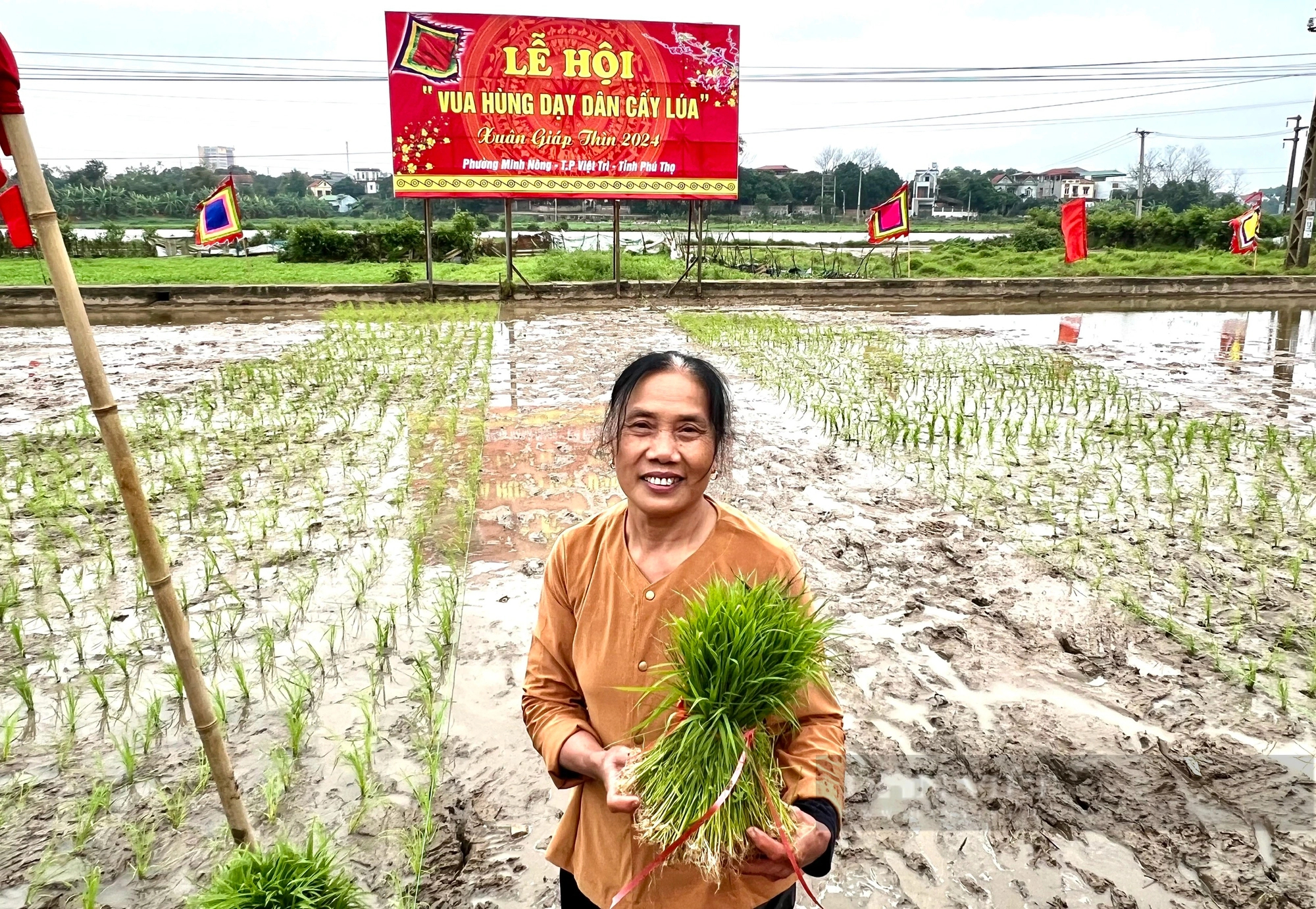 "Vua Hùng đi cấy" ở thành phố ngã ba sông Việt Trì- Ảnh 20.