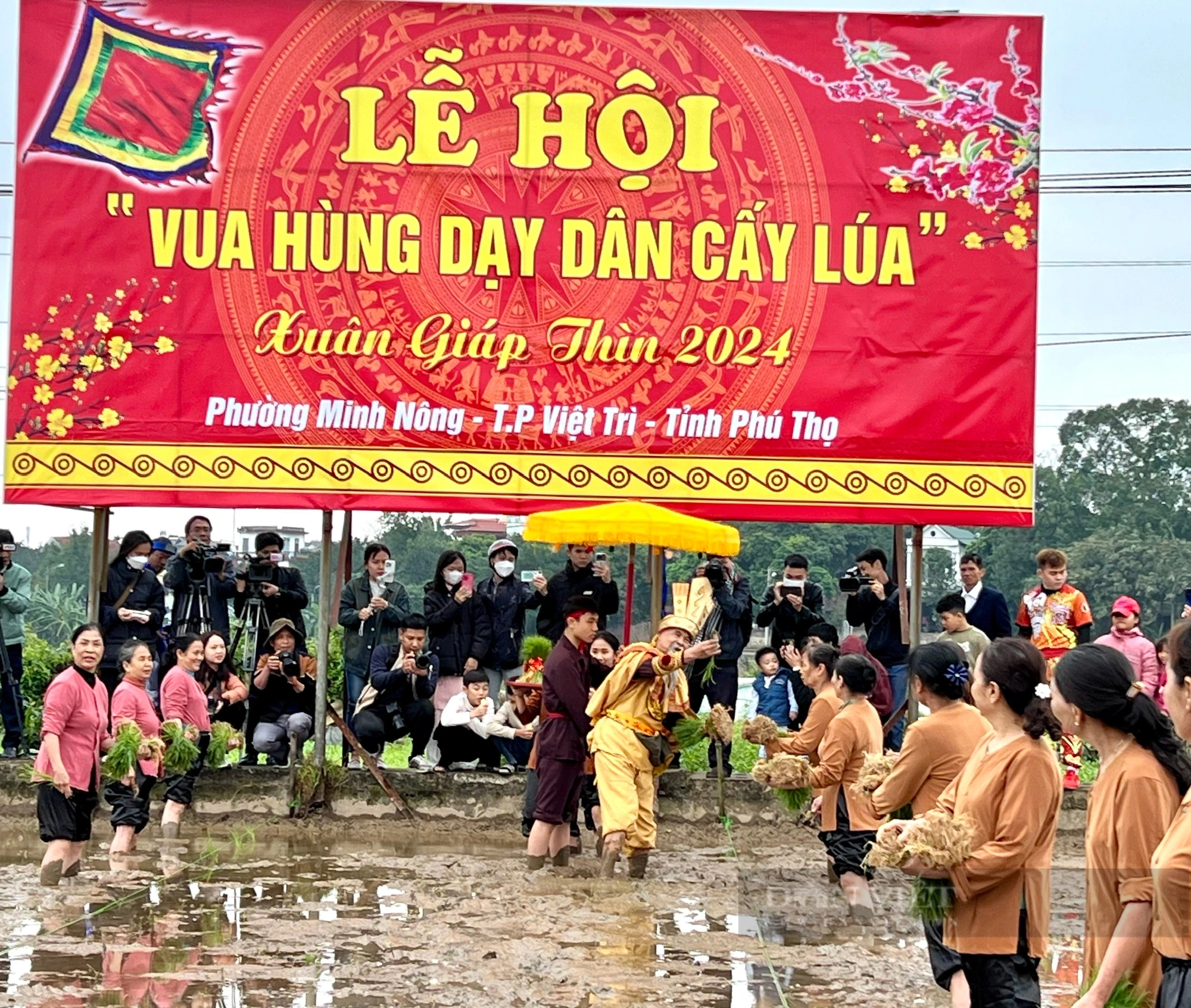 "Vua Hùng đi cấy" ở thành phố ngã ba sông Việt Trì- Ảnh 22.